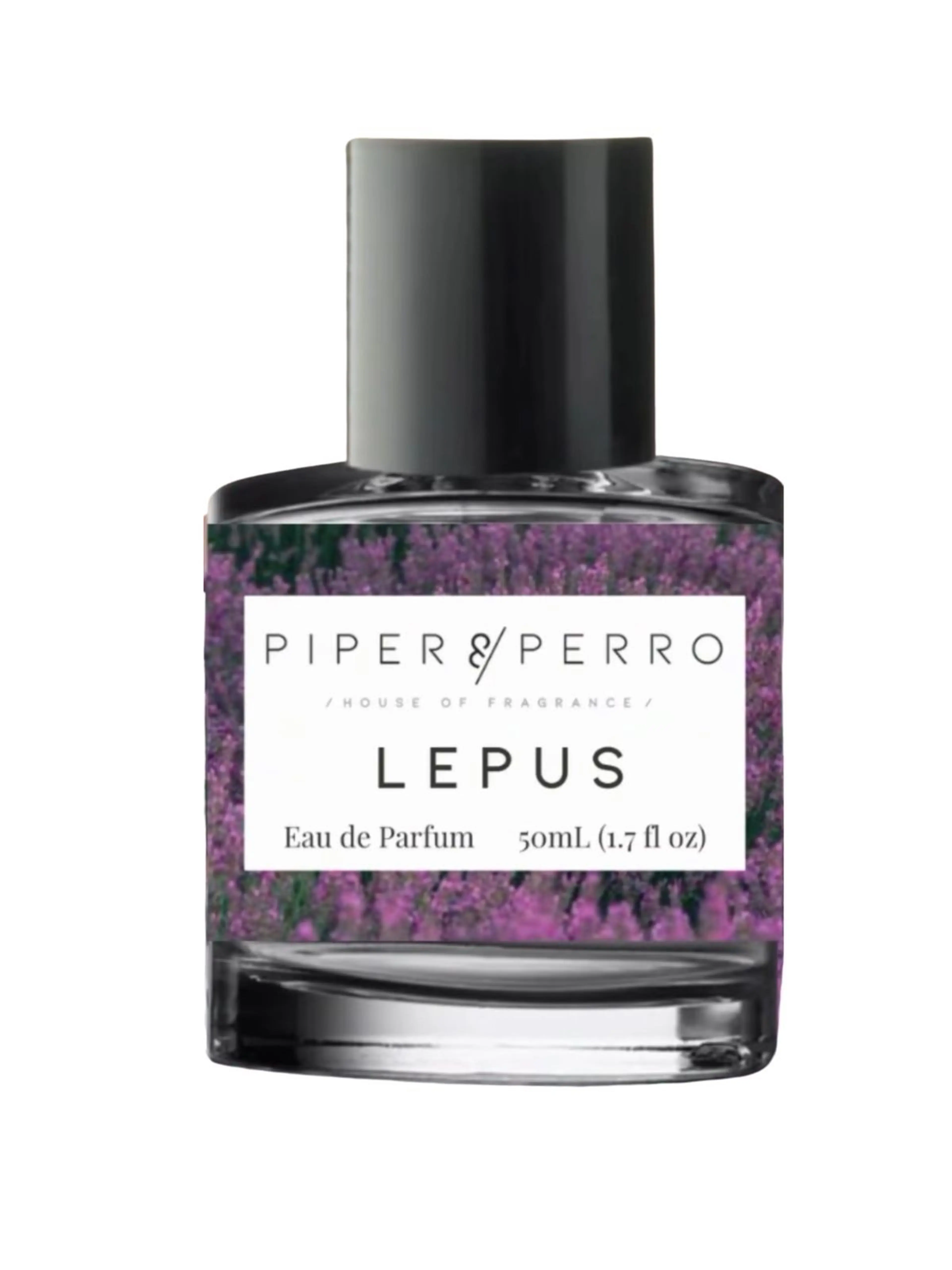 Lepus
