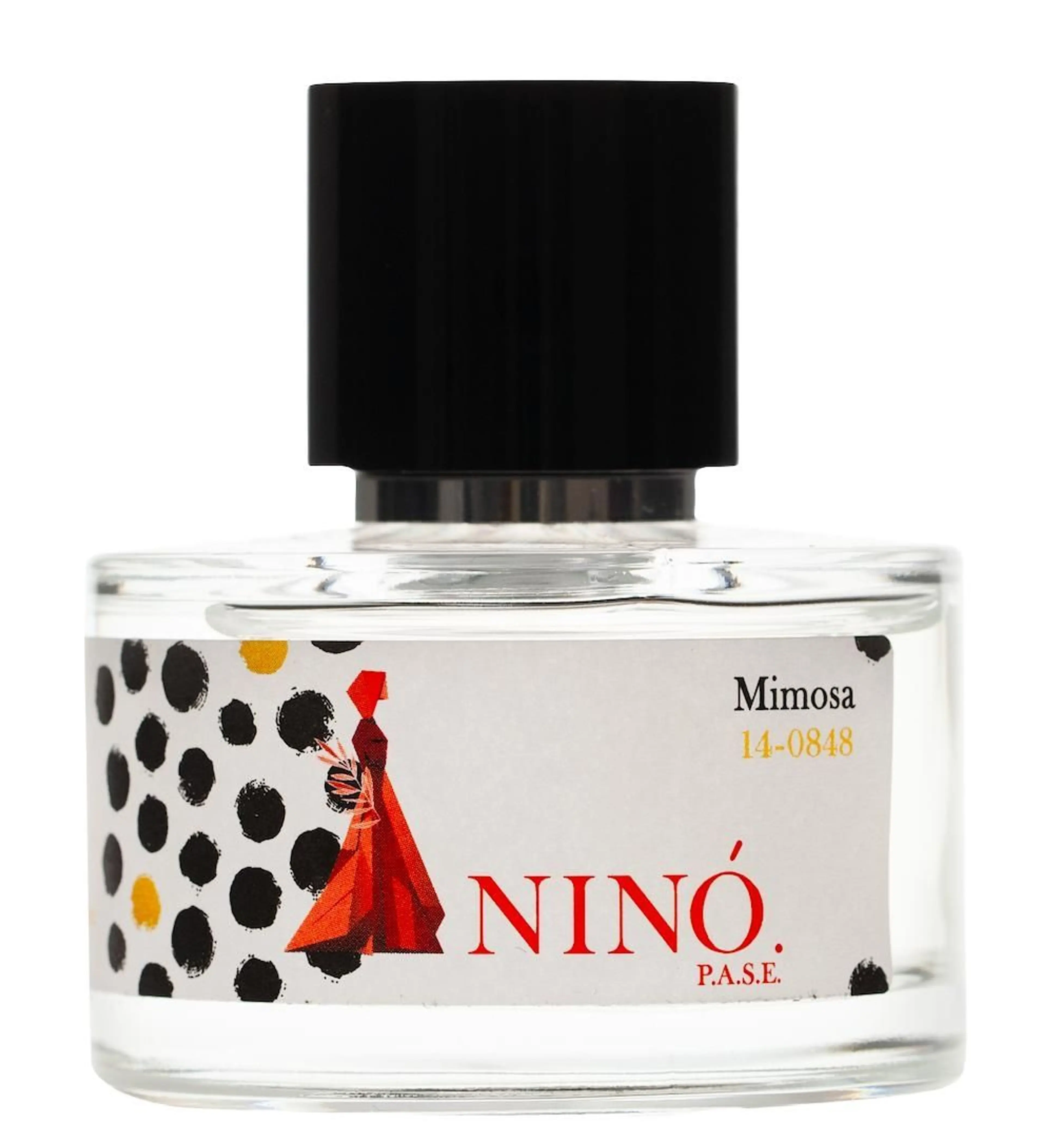 Mimosa