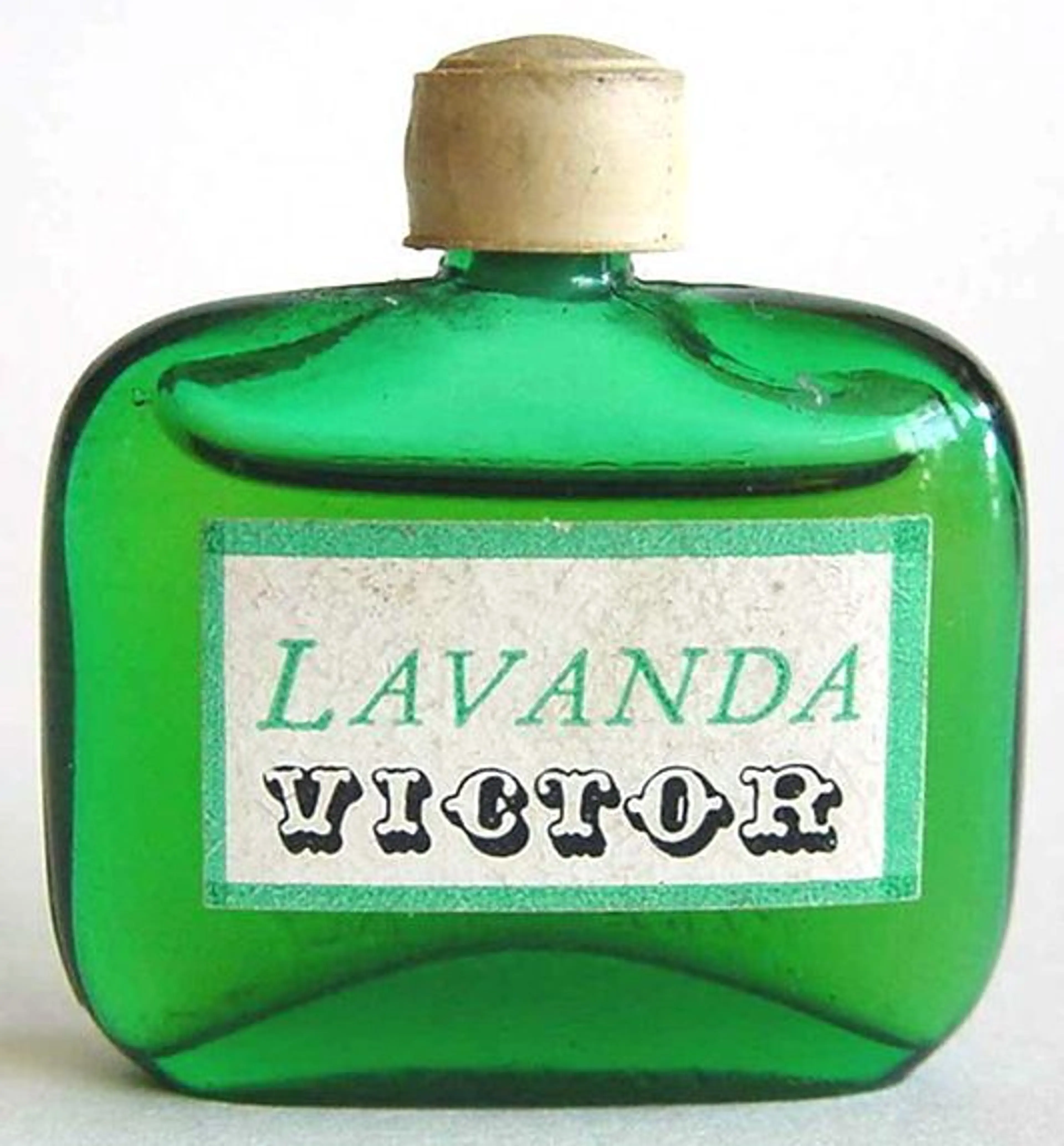 Lavanda