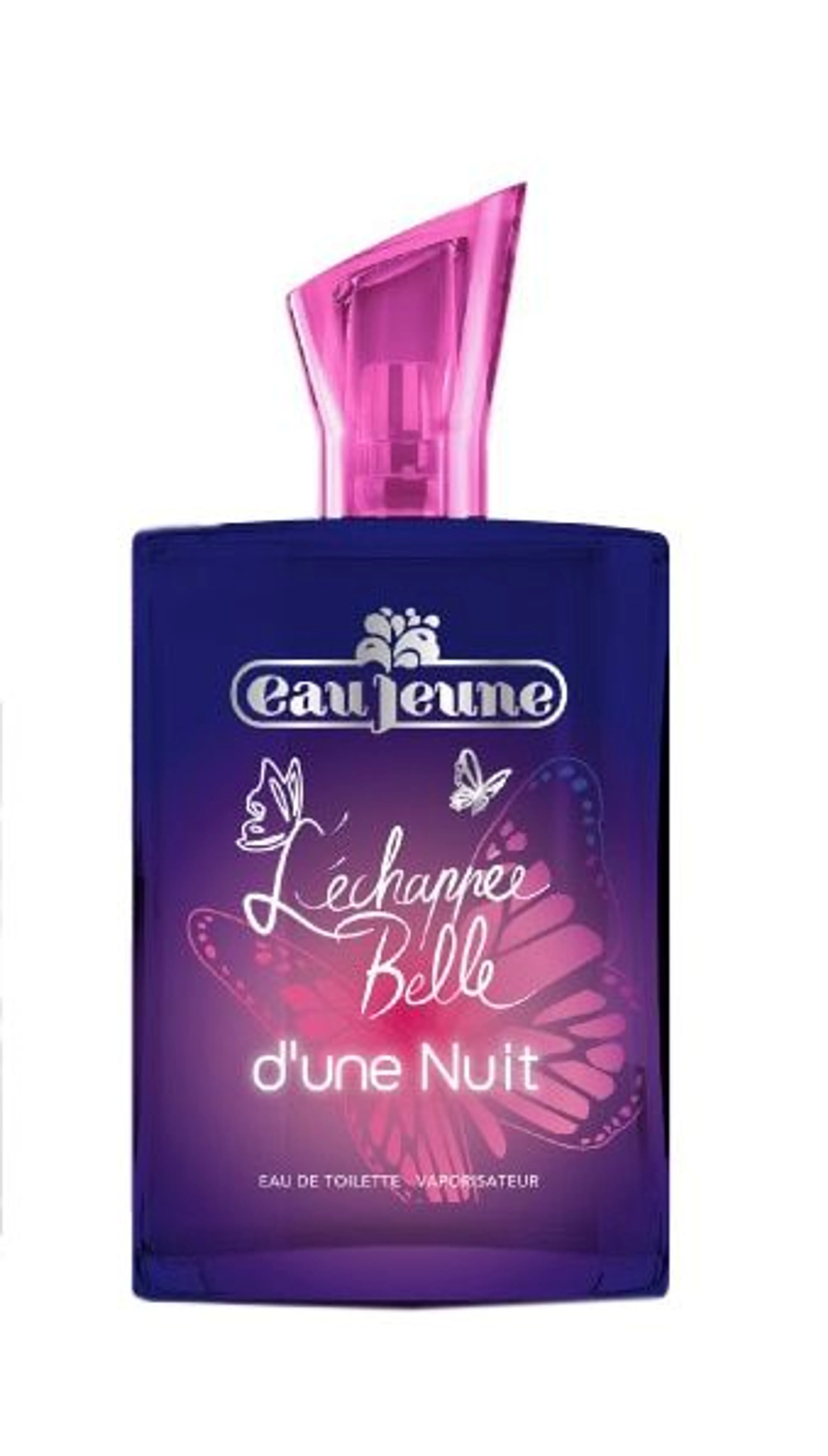 L'Échappée Belle d'une Nuit