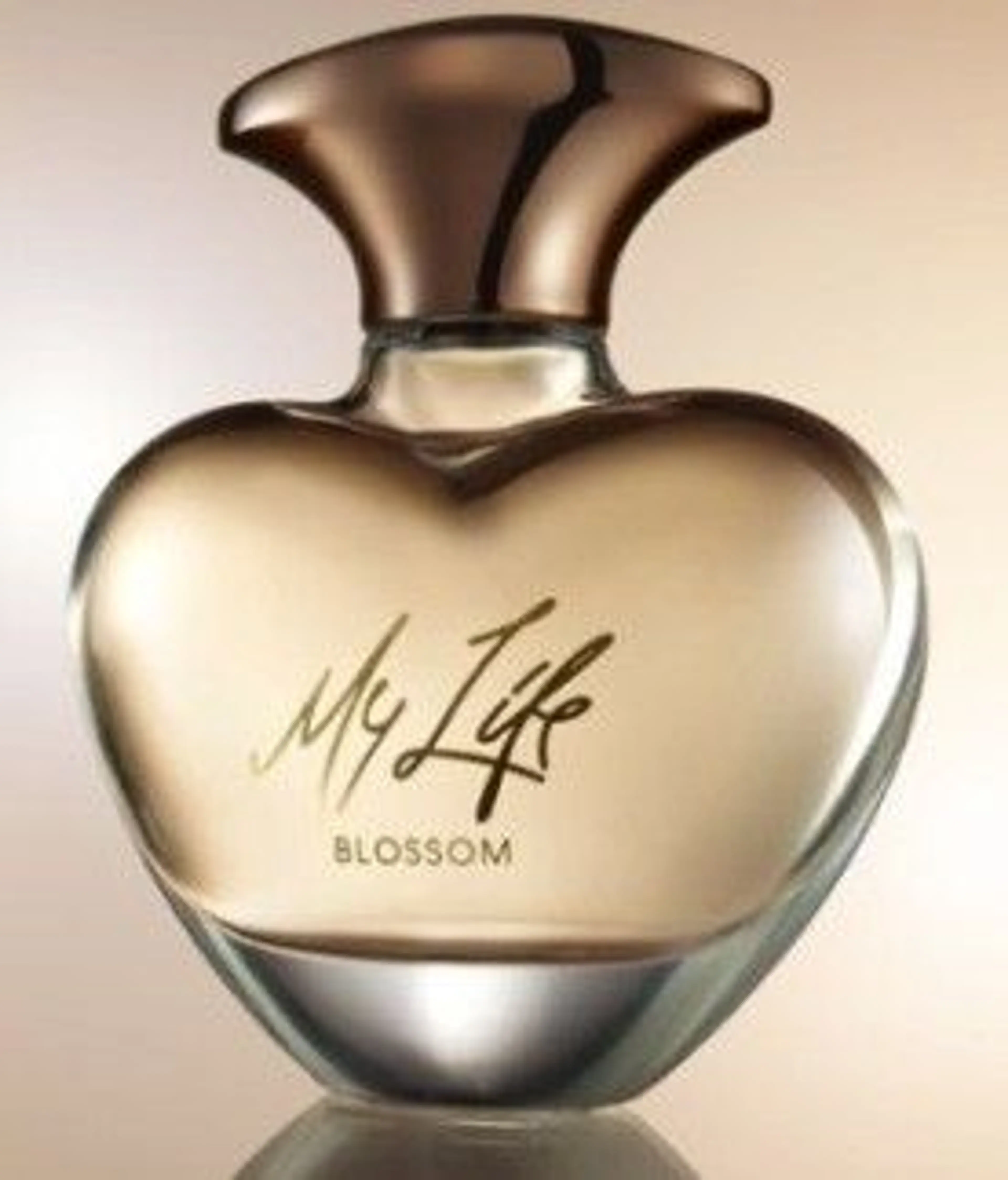 Mary J. Blige My Life Blossom