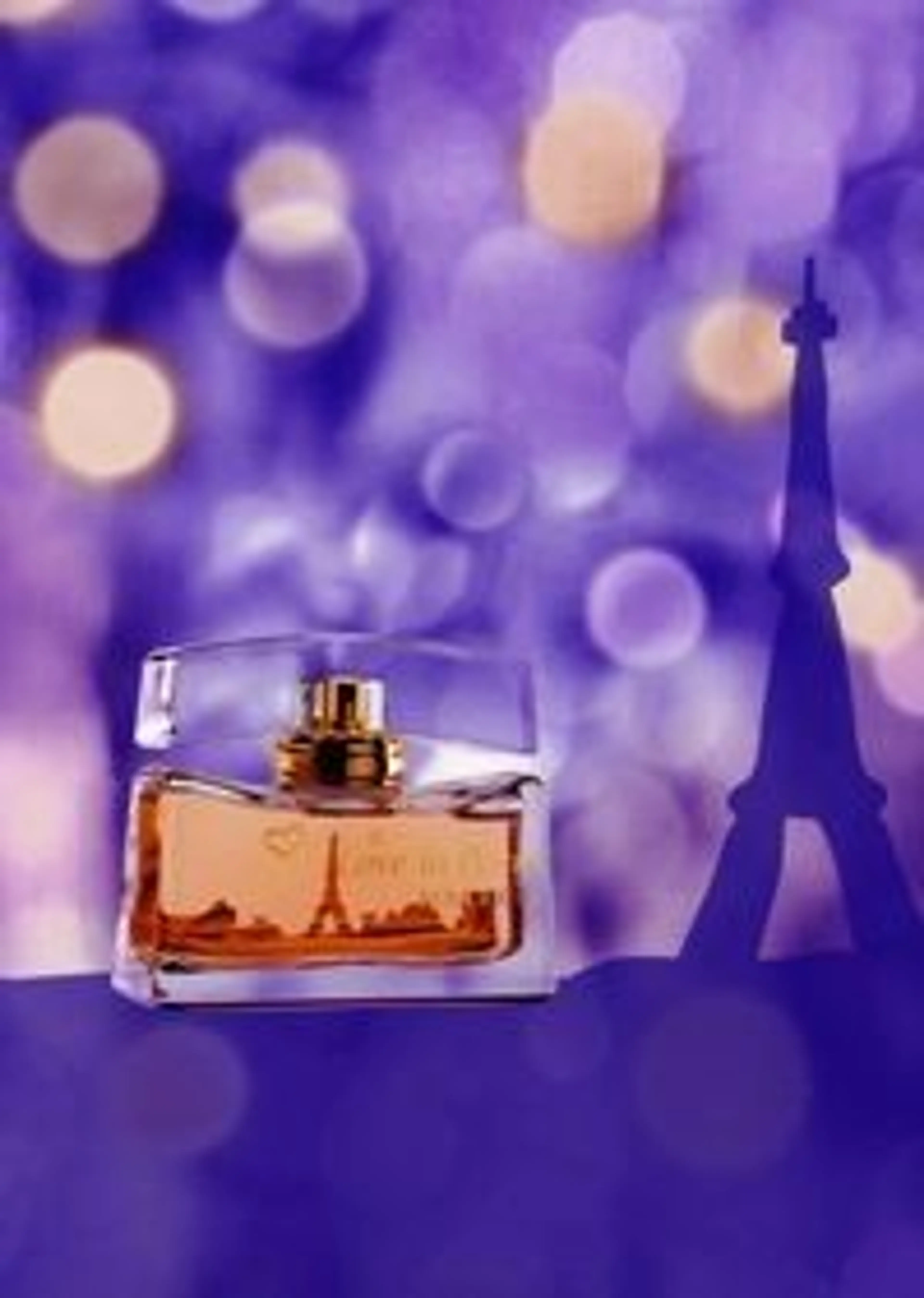 Love in Paris Christmas 2006