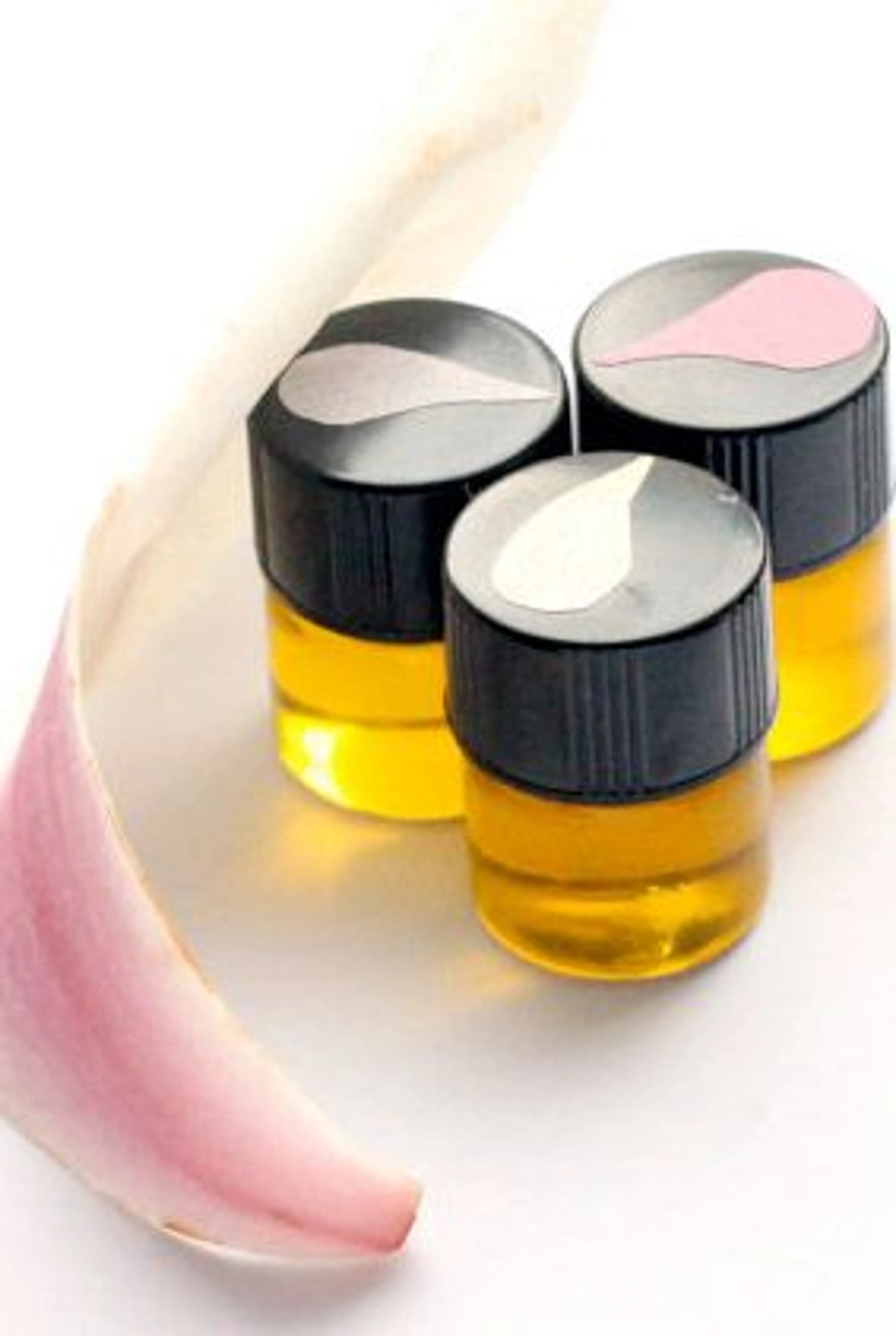Magnolia Grove Perfume Trio