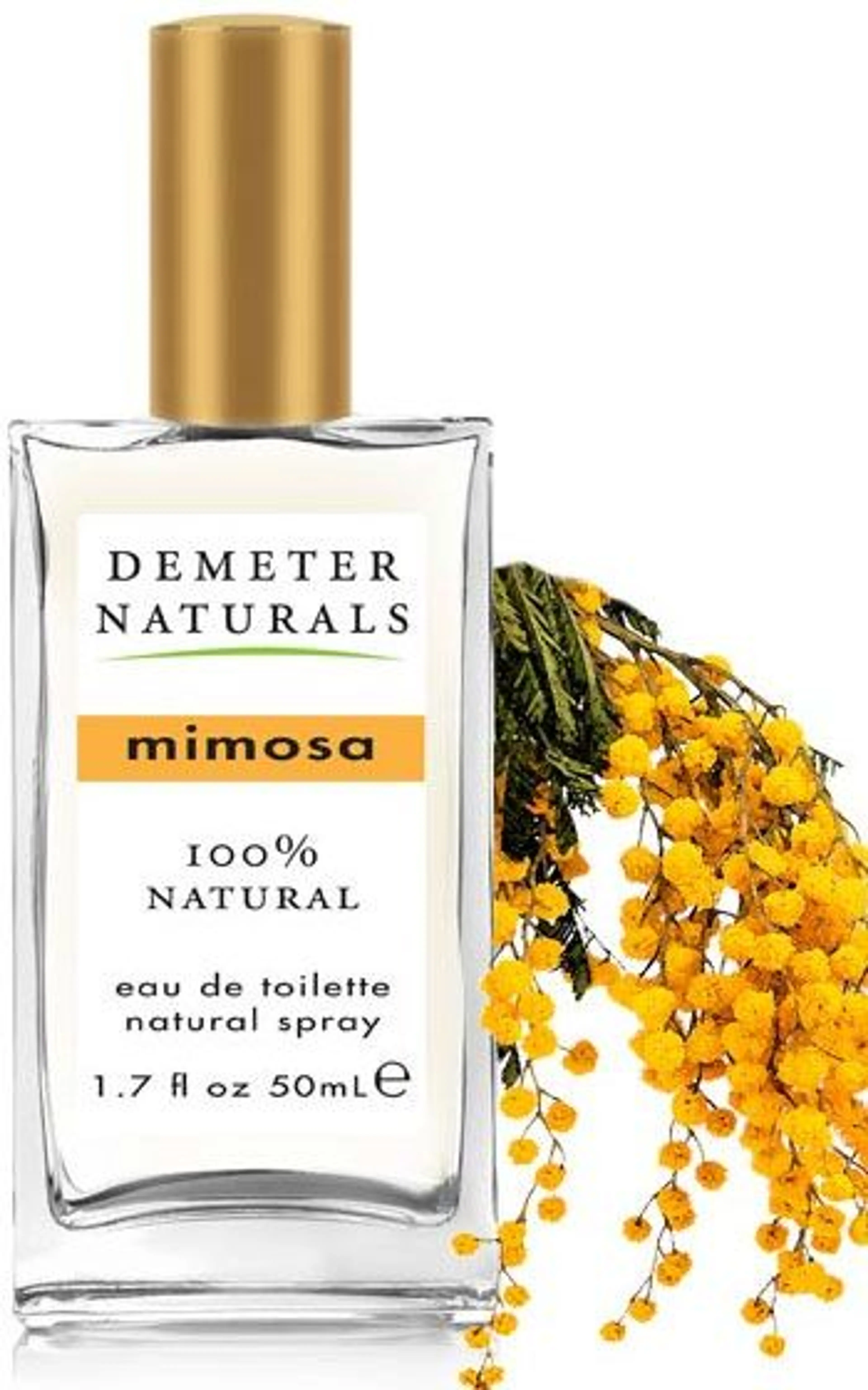 Mimosa