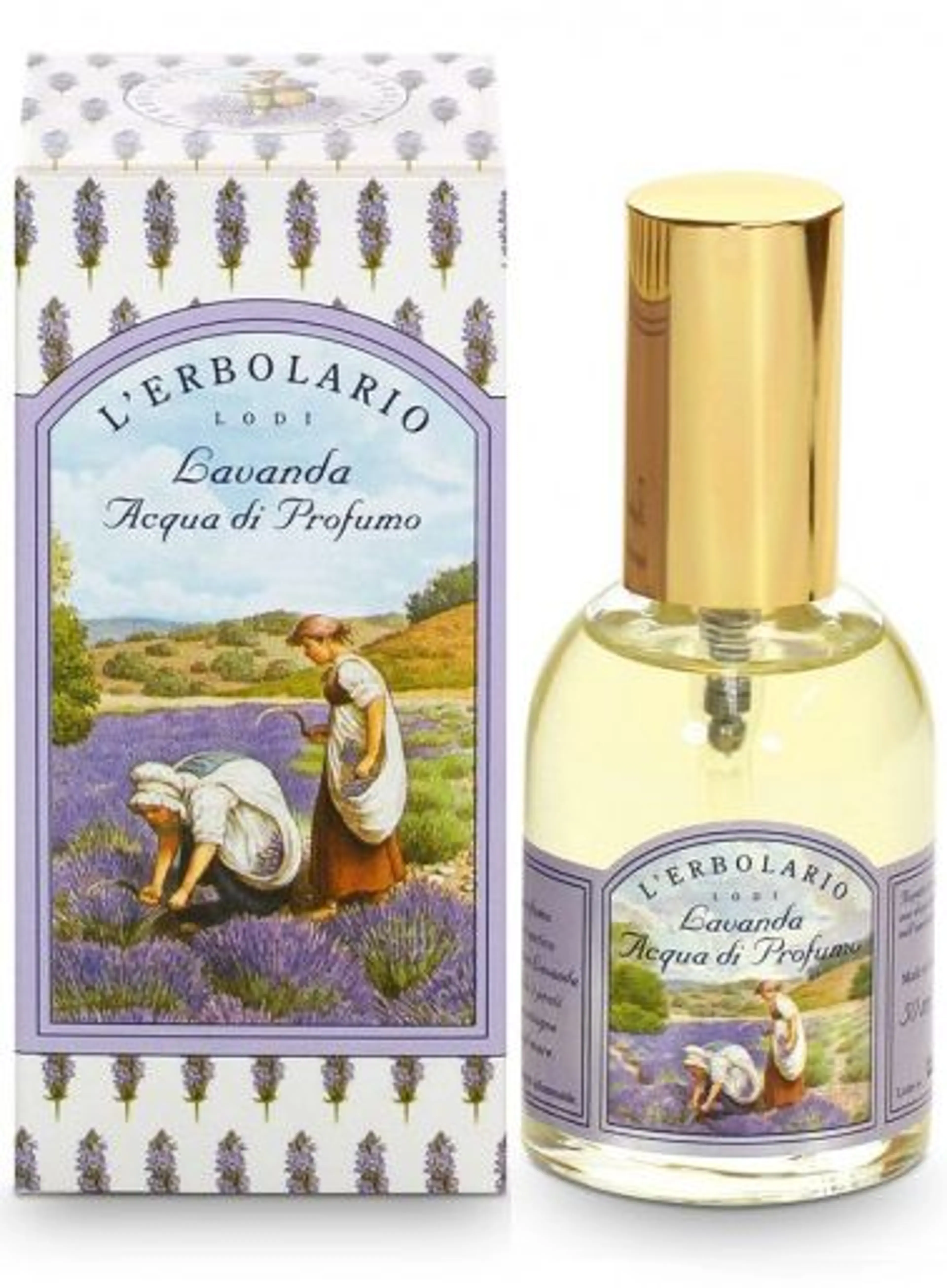 Lavanda