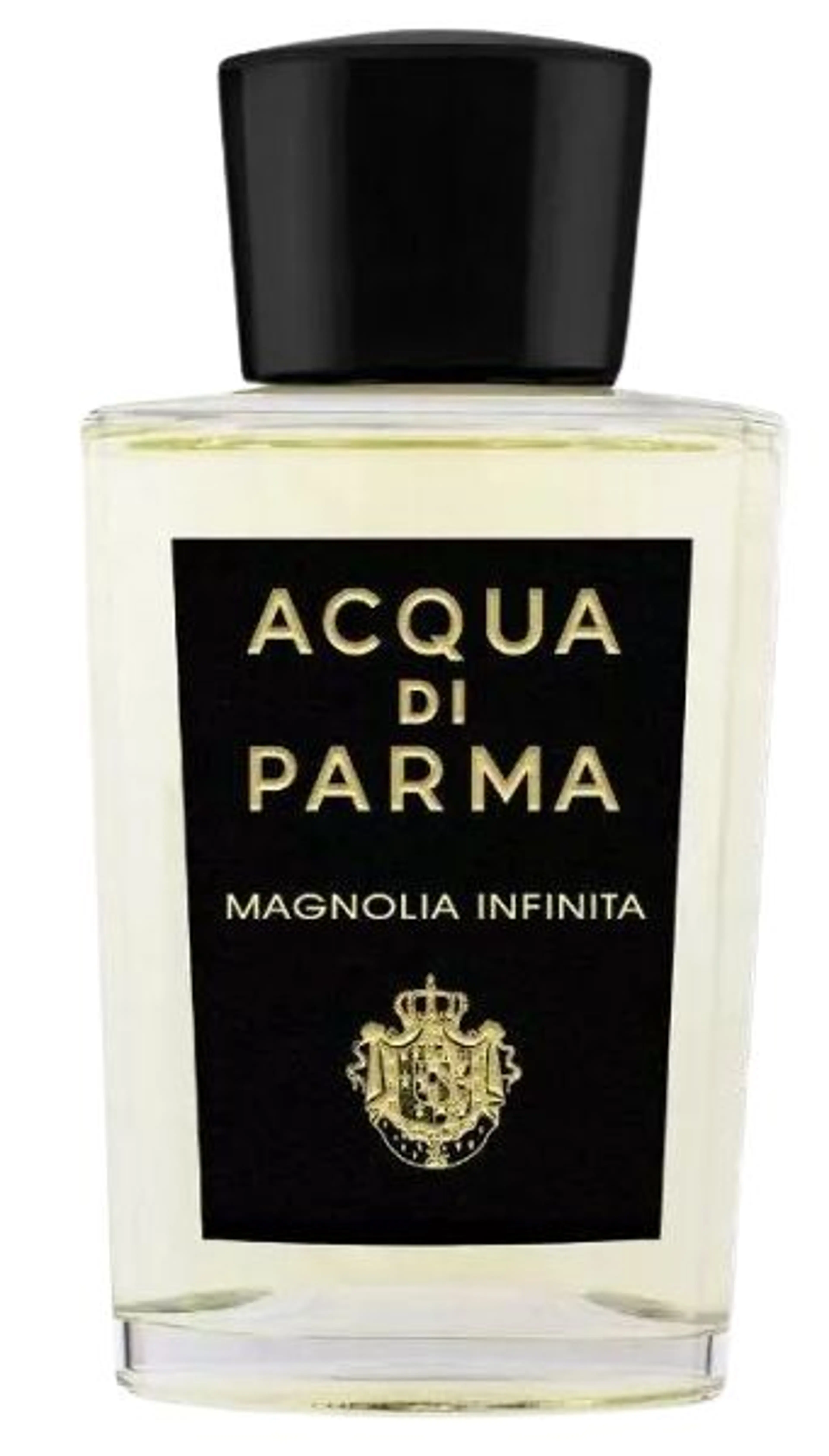 Magnolia Infinita