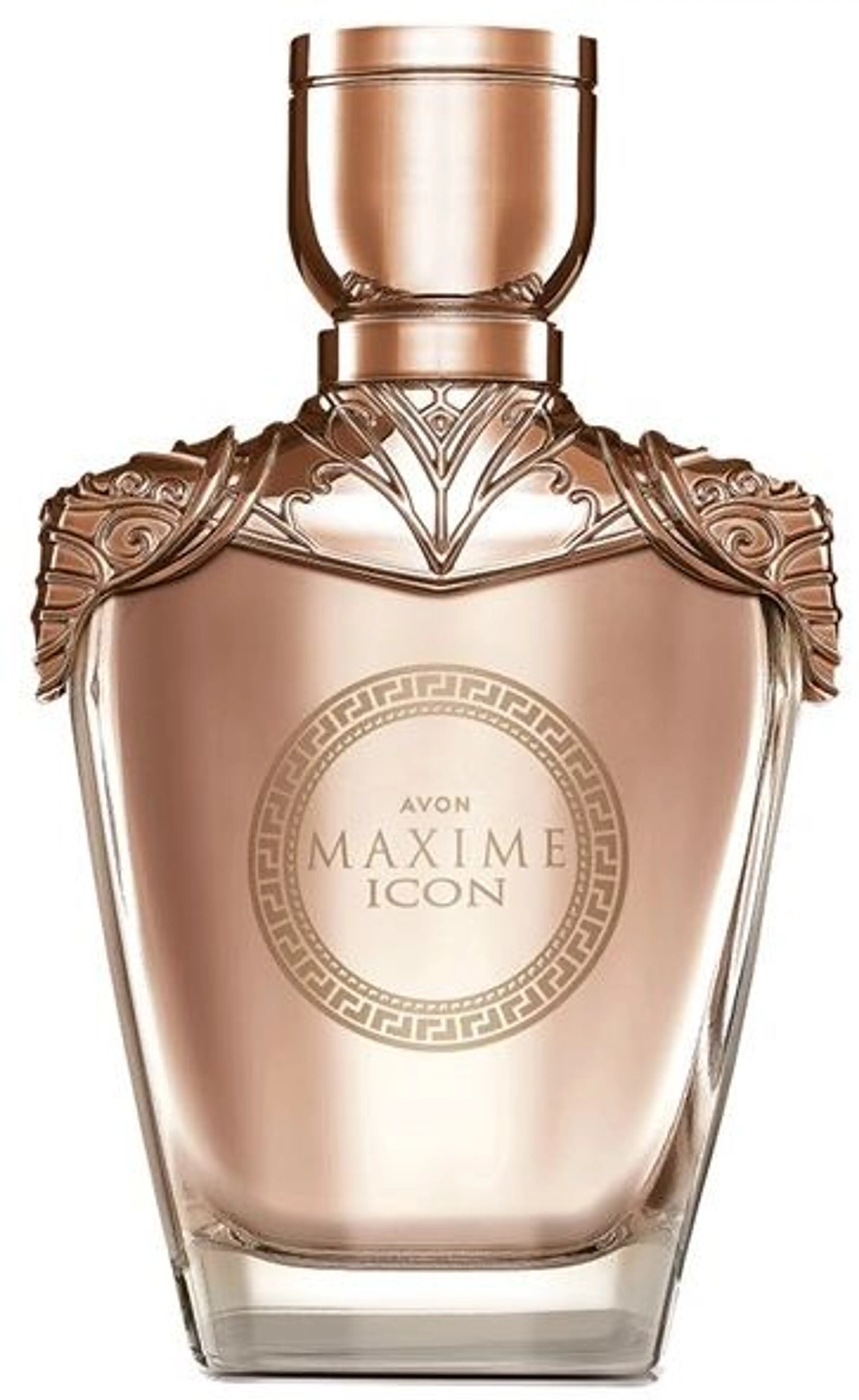 Maxime Icon