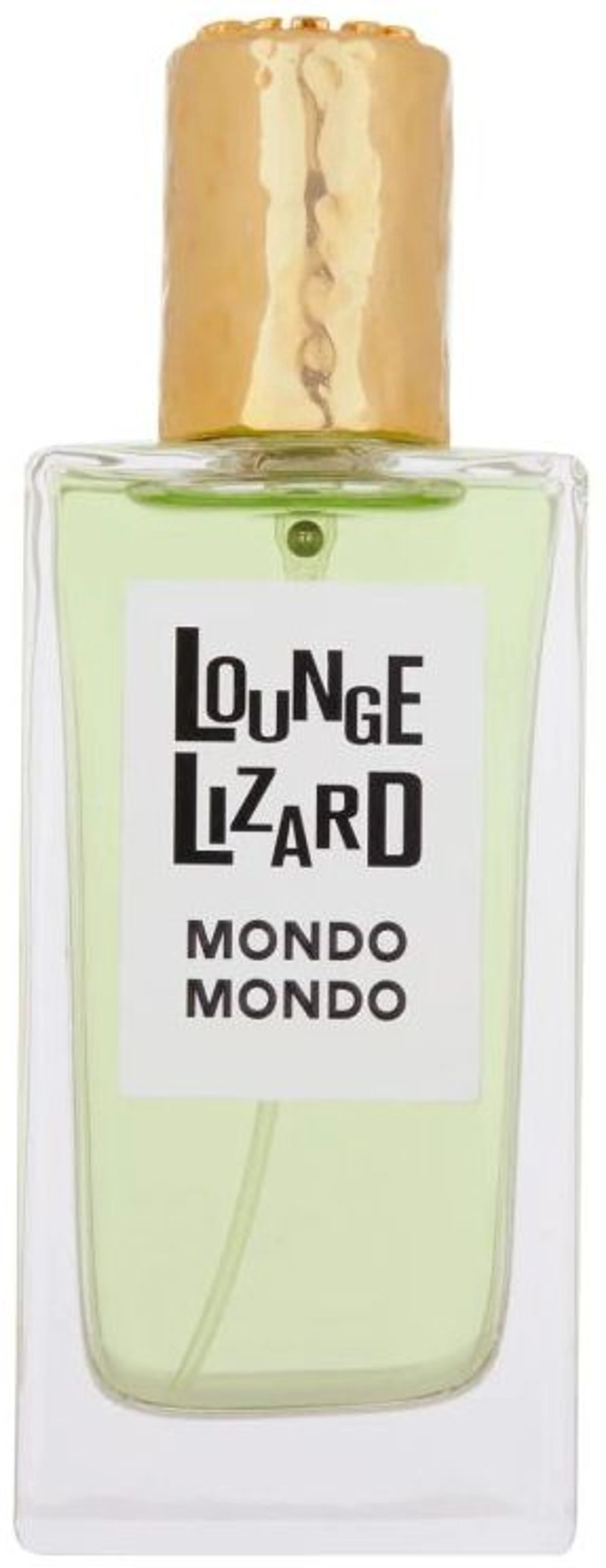Lounge Lizard