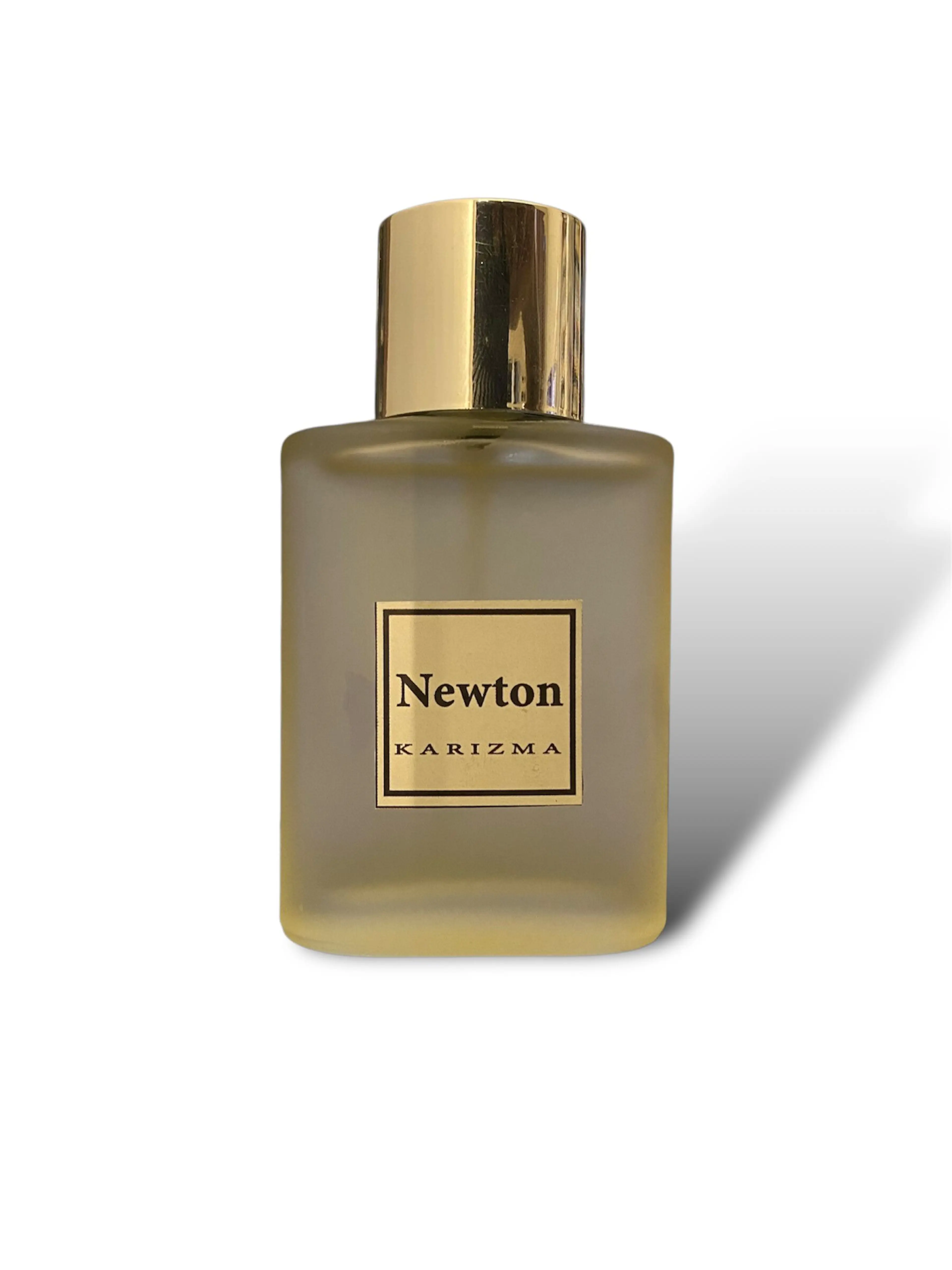 NEWTON