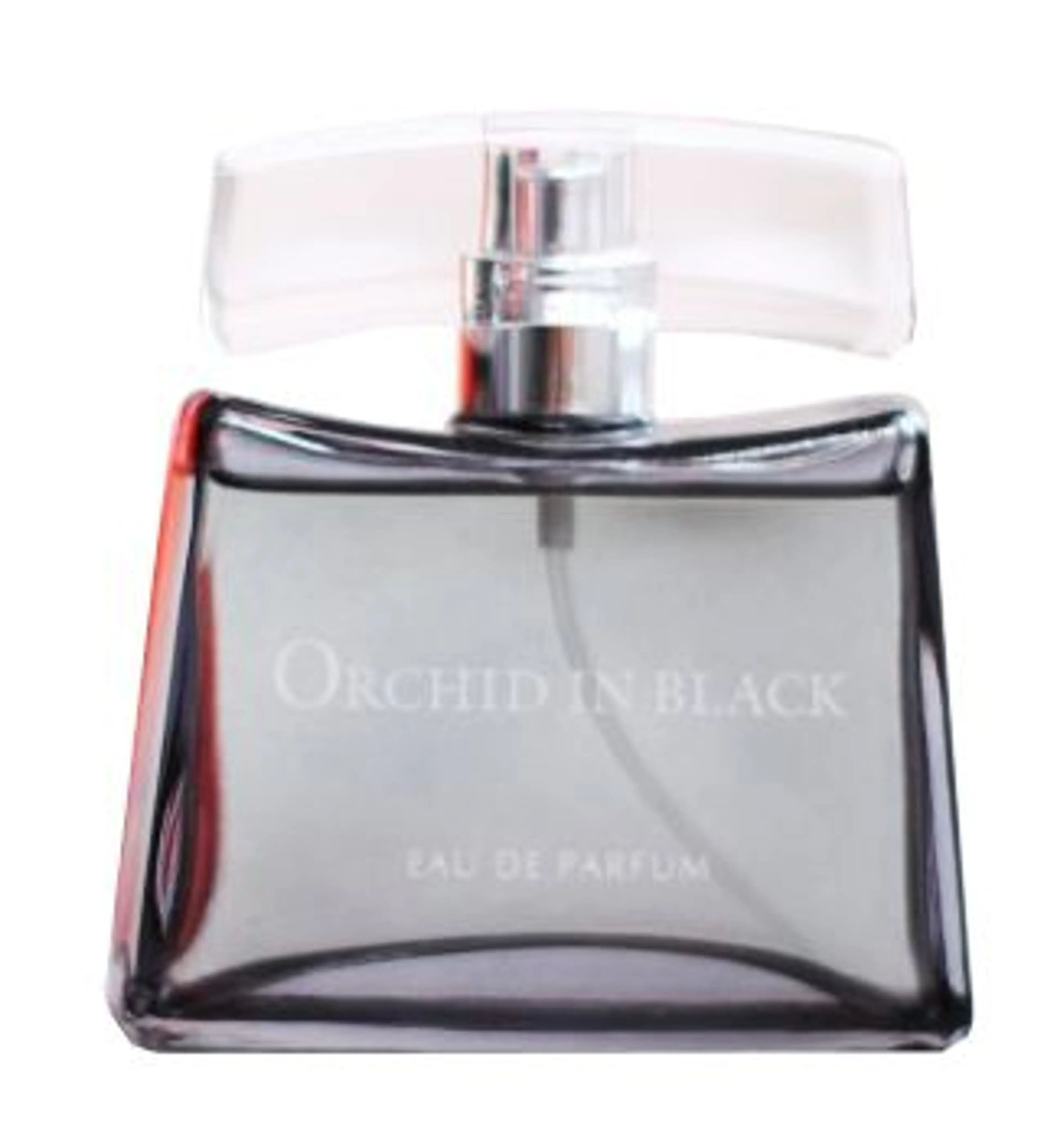 Orchid in Black