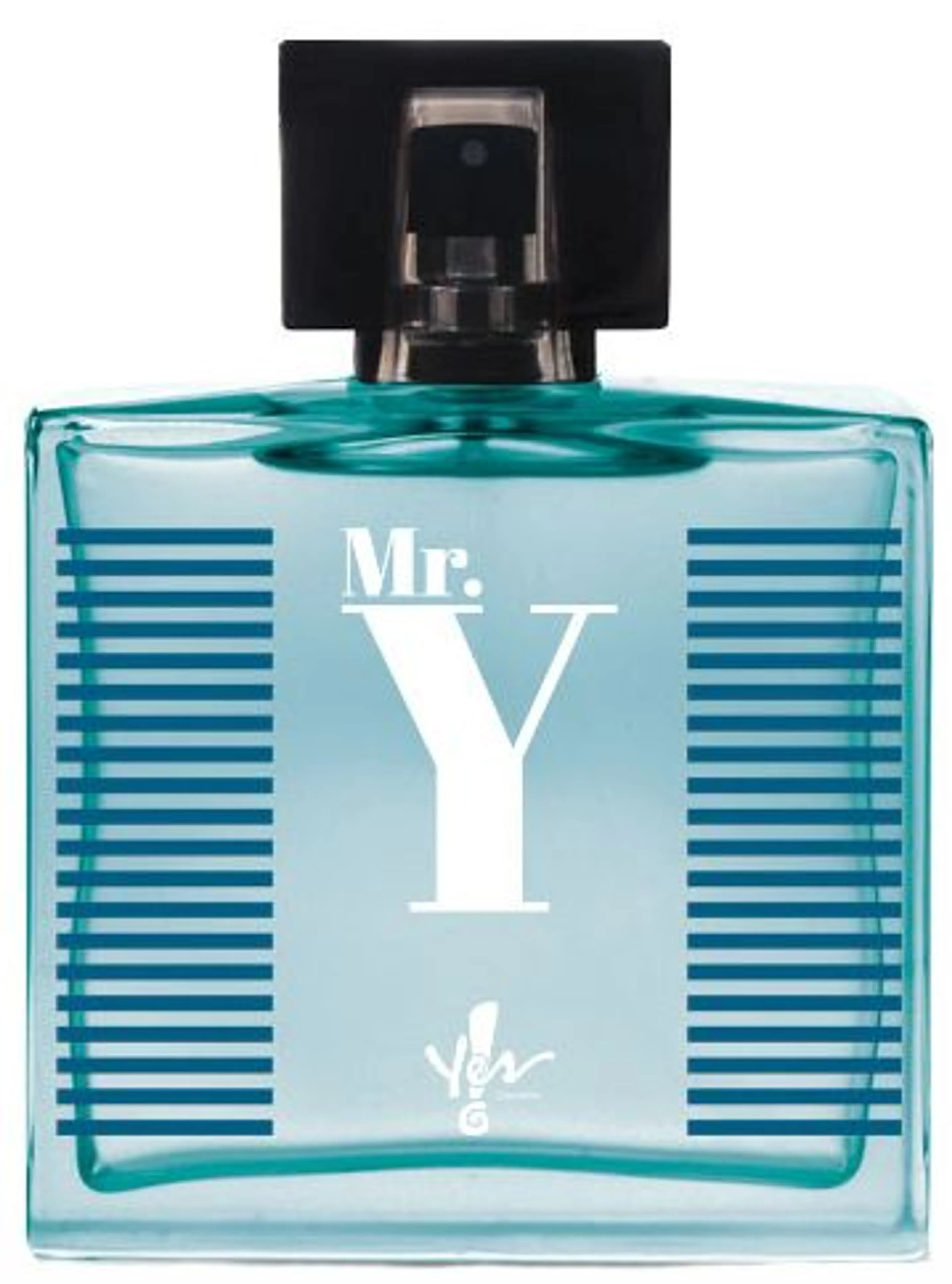 Mr. Y