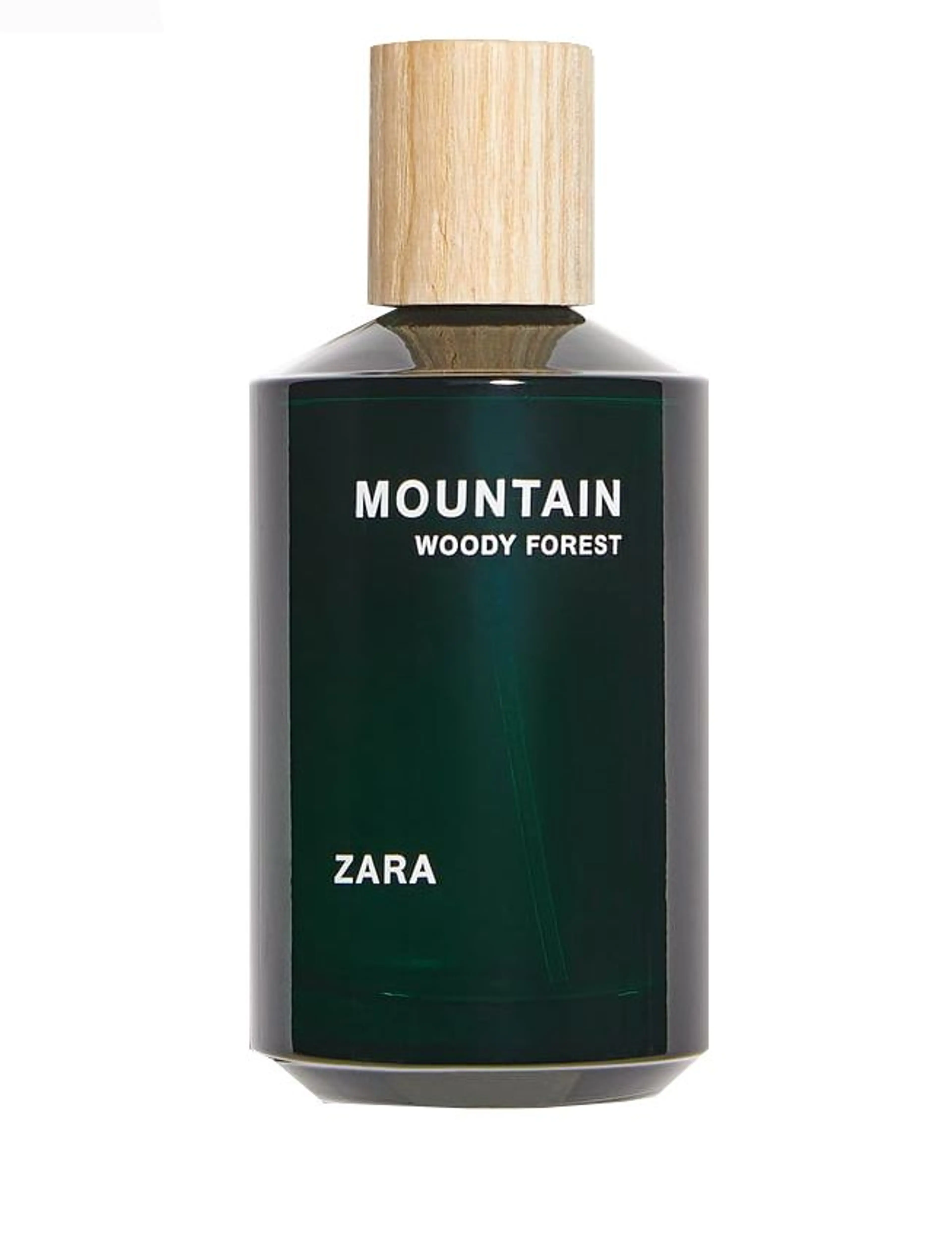 Mountain Woody Forest
