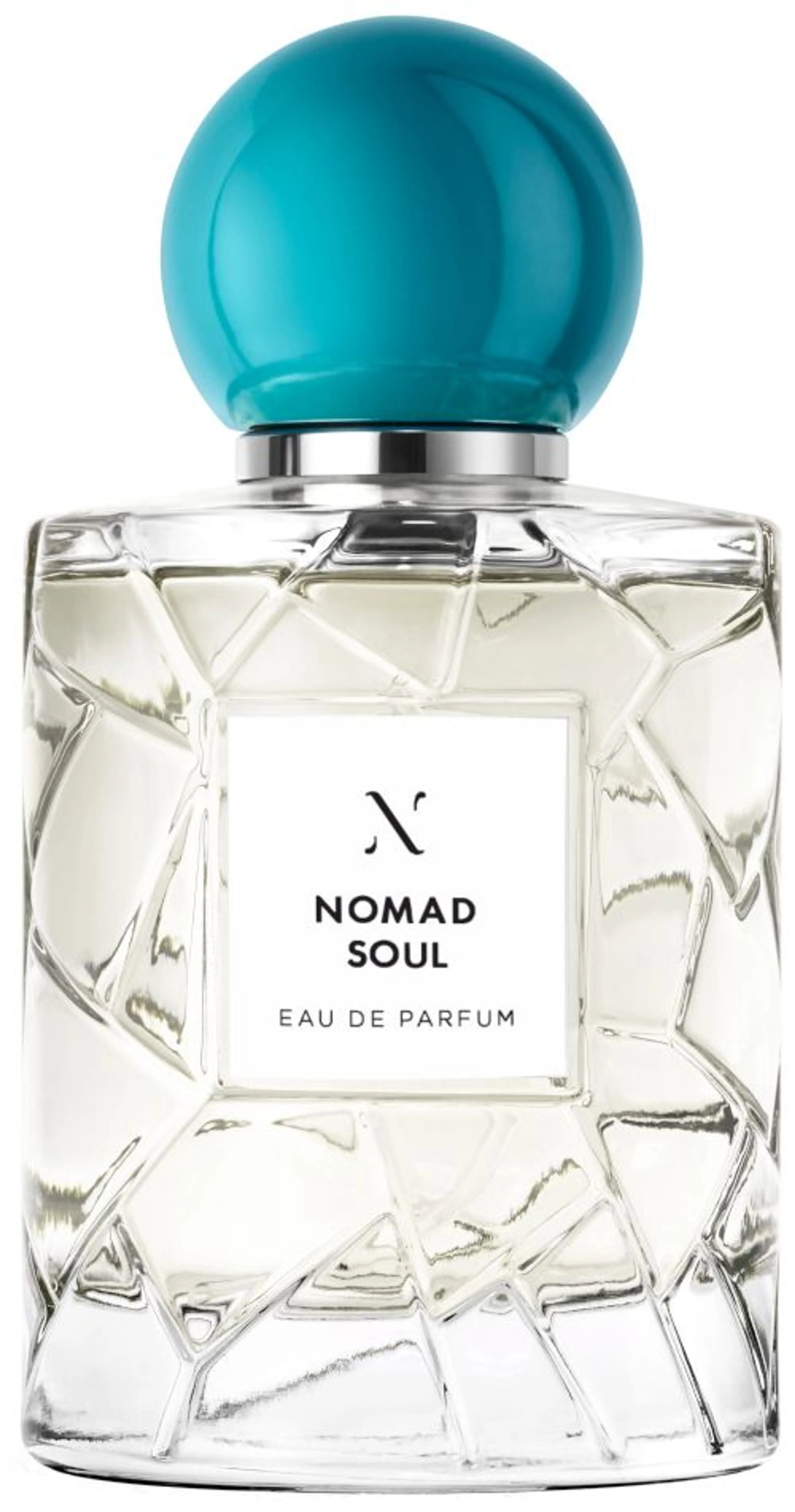 Nomad Soul