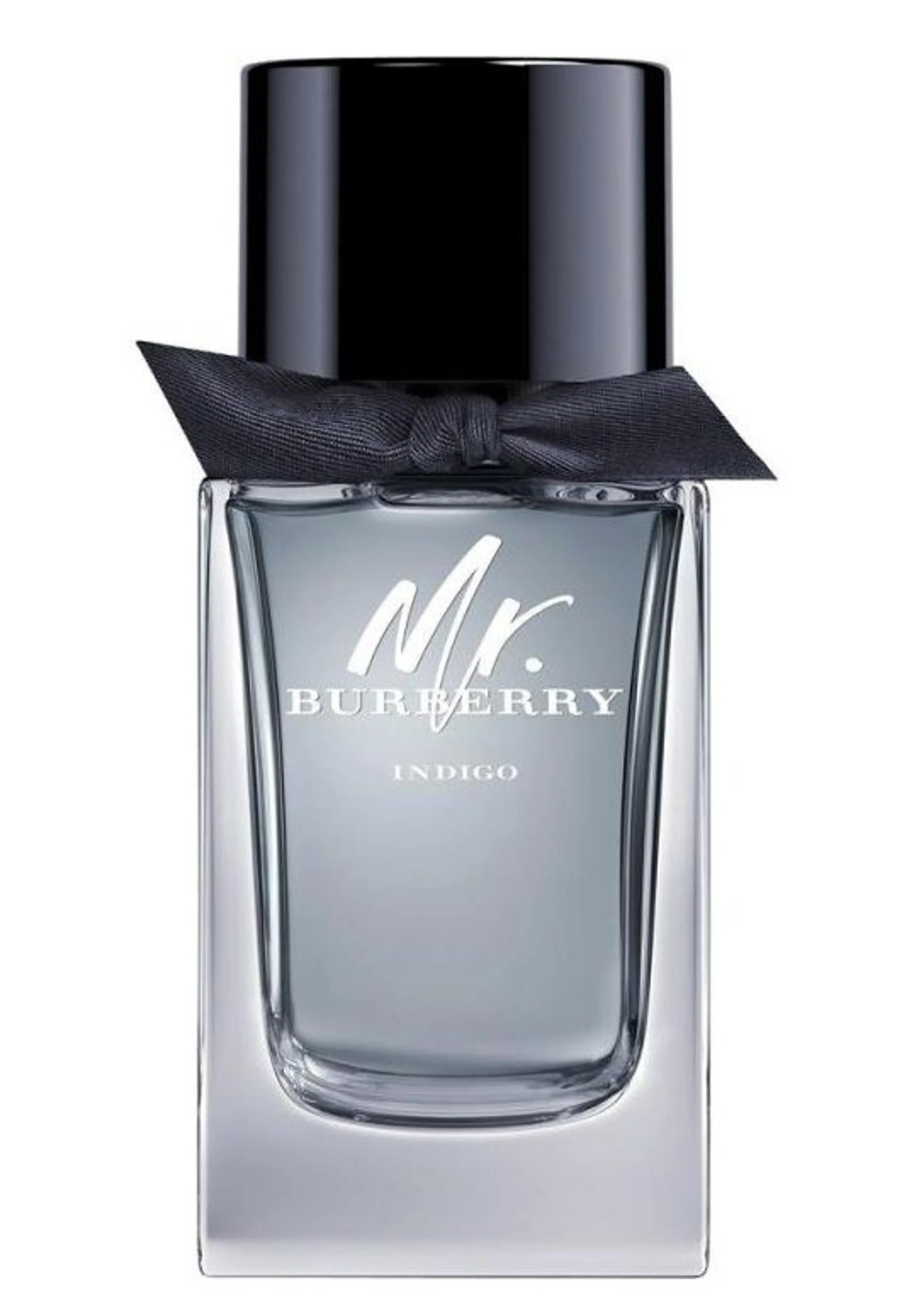 Mr. Burberry Indigo
