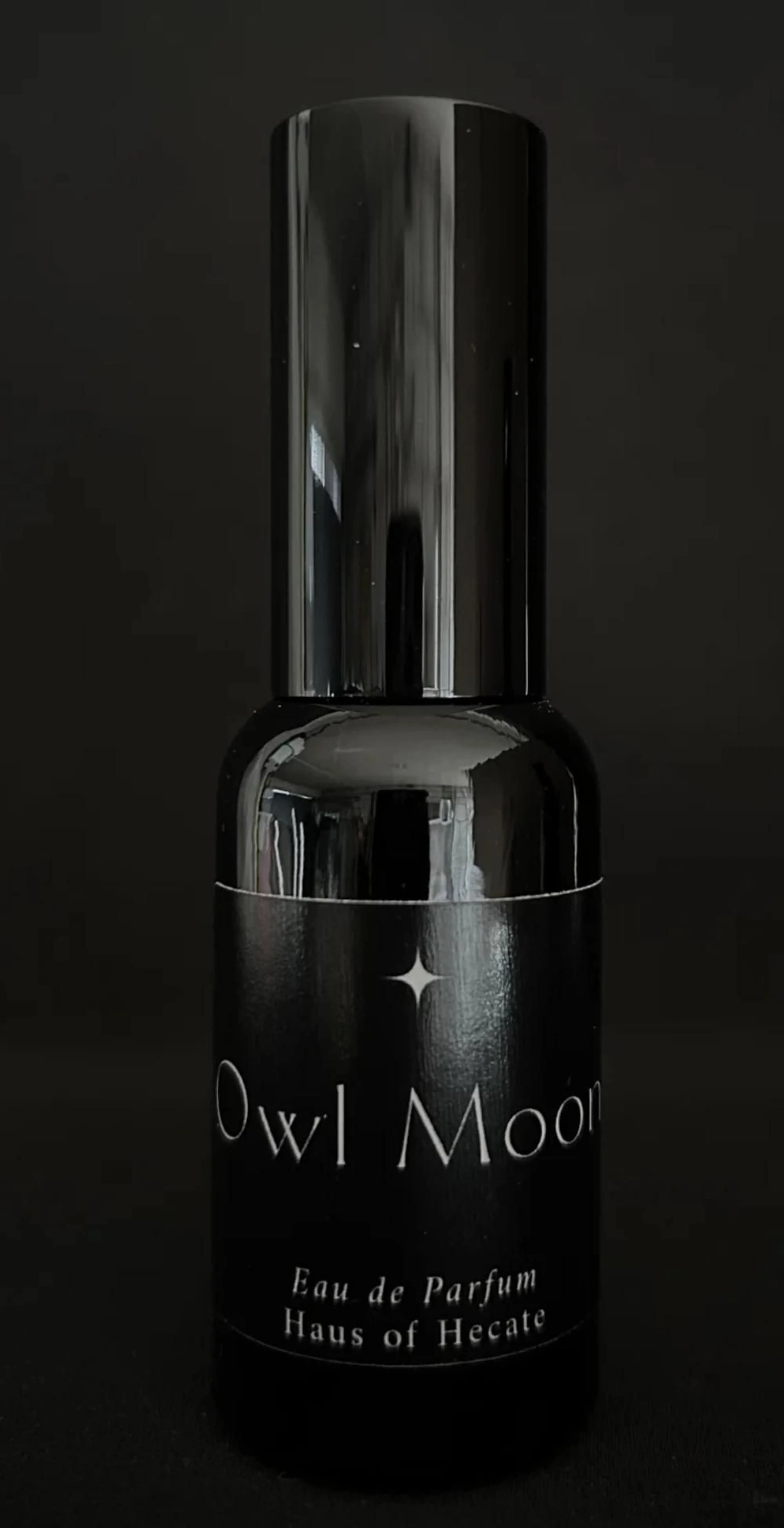 Owl Moon