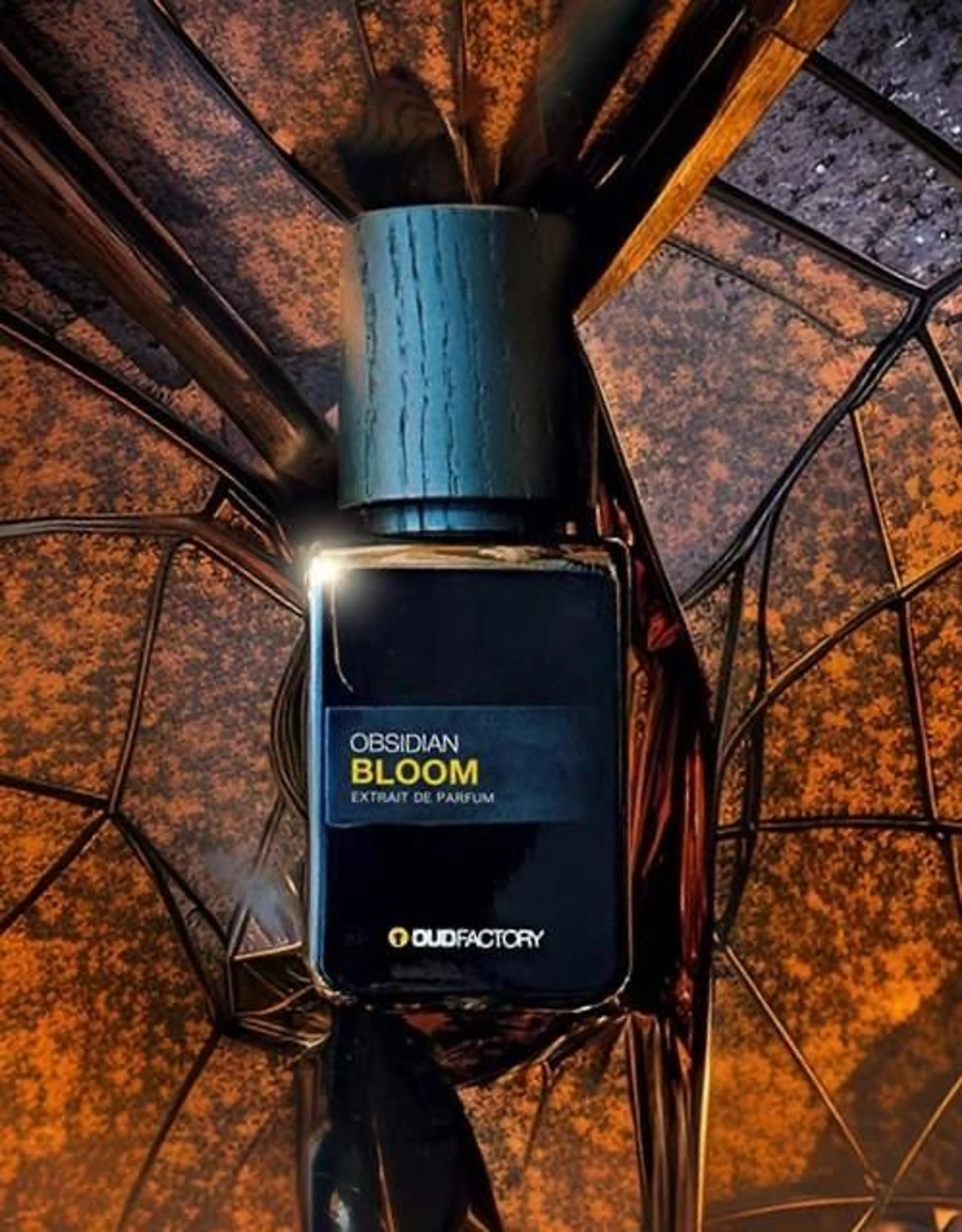 Obsidian Bloom
