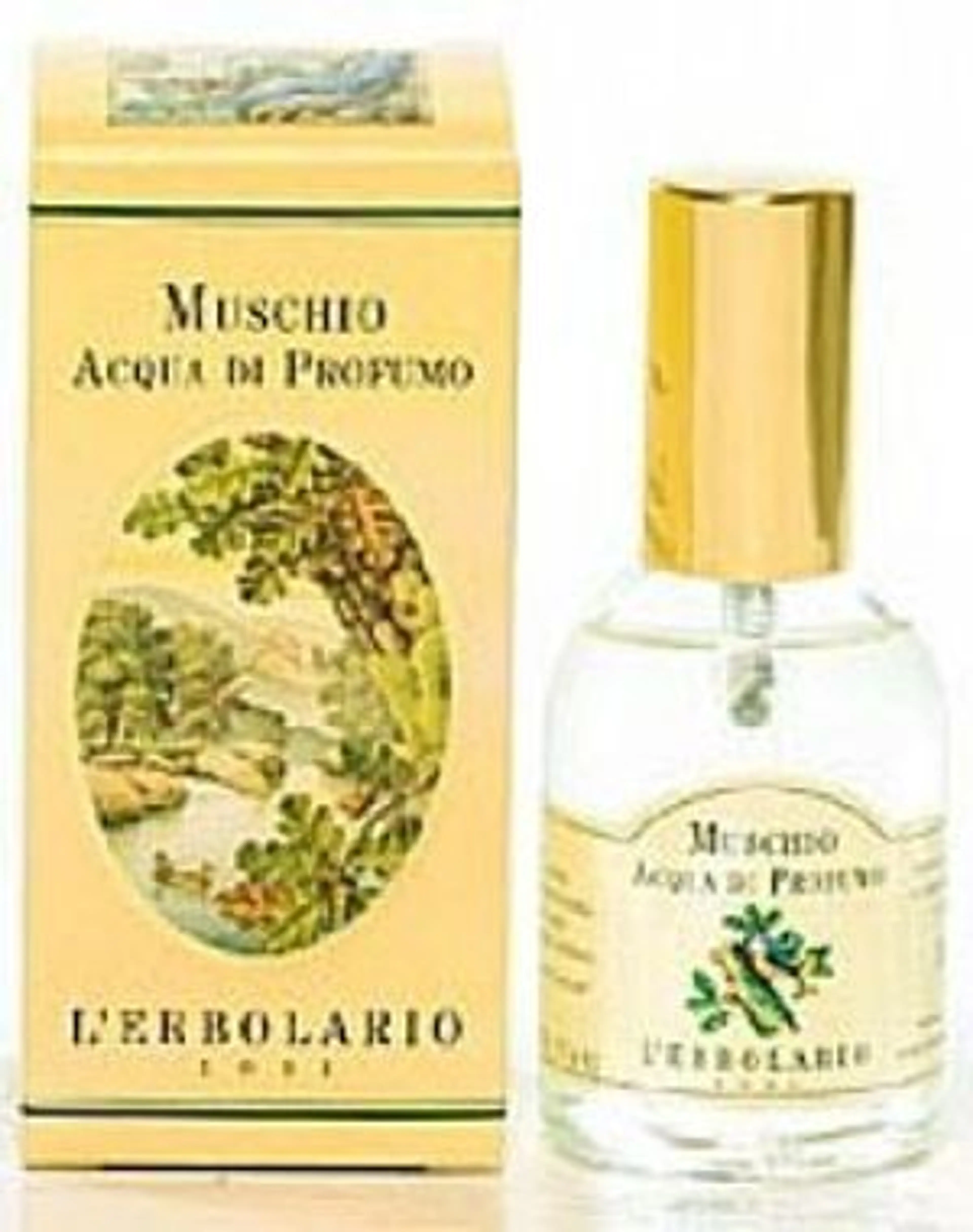 Muschio