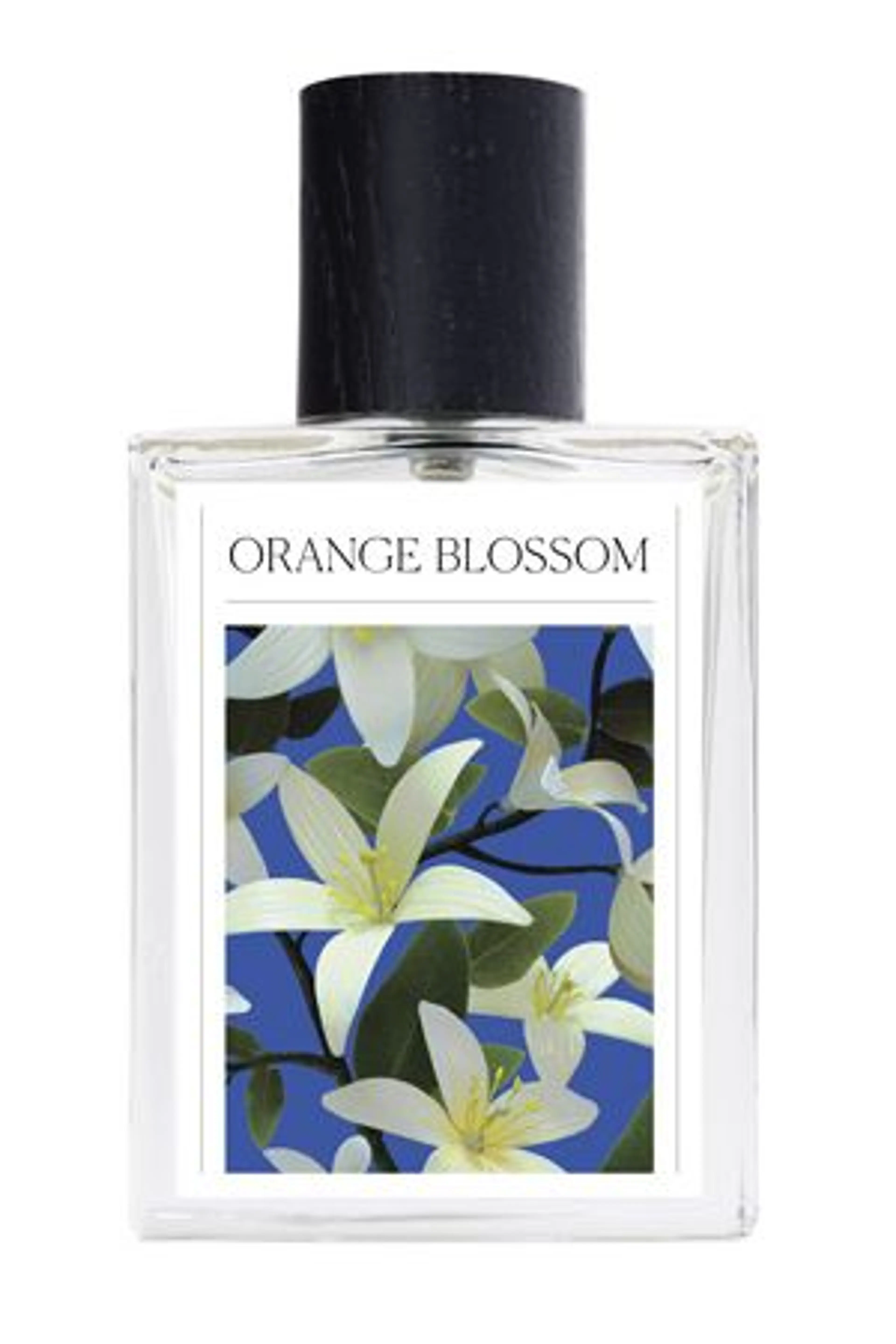 Orange Blossom