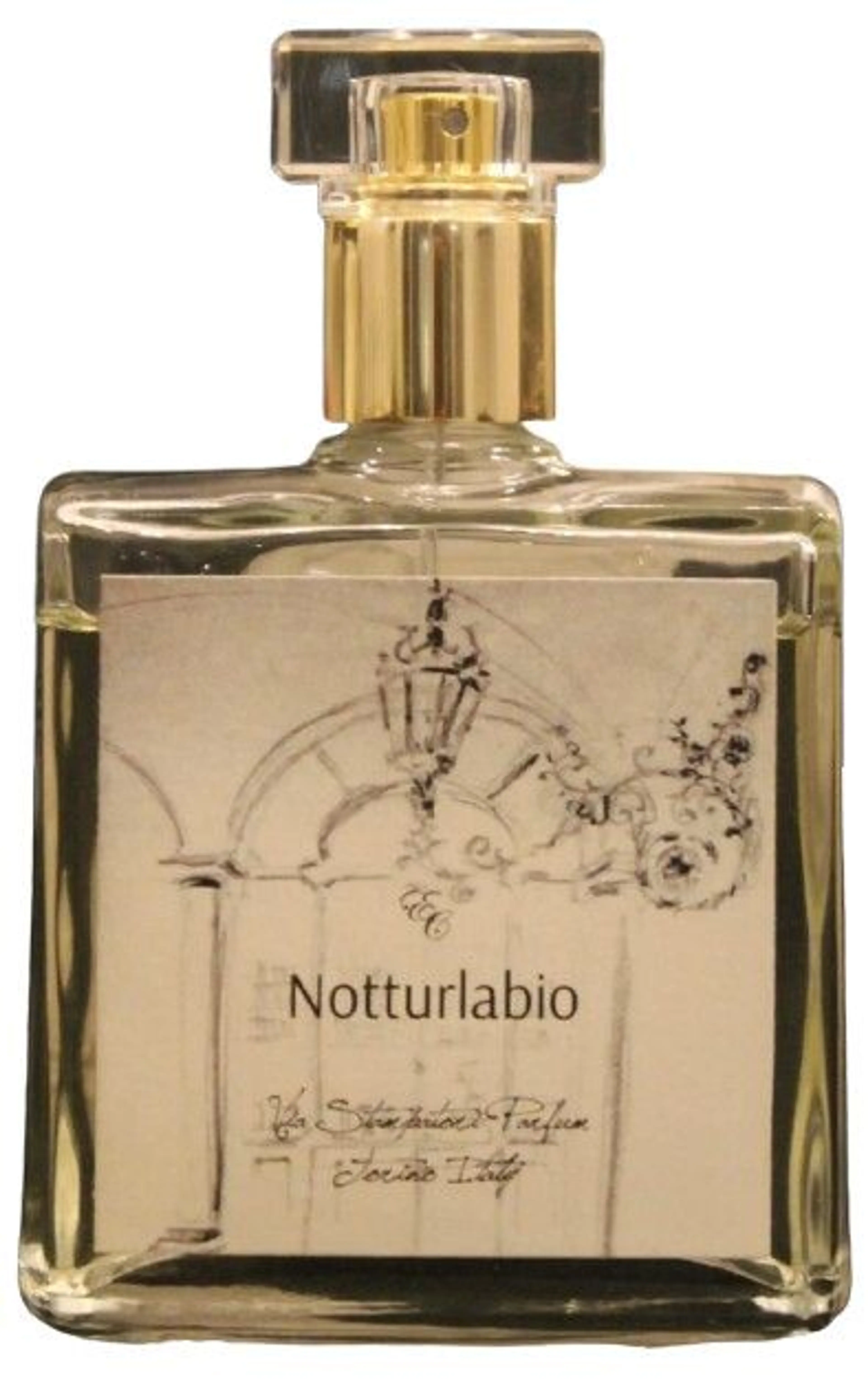 Notturlabio