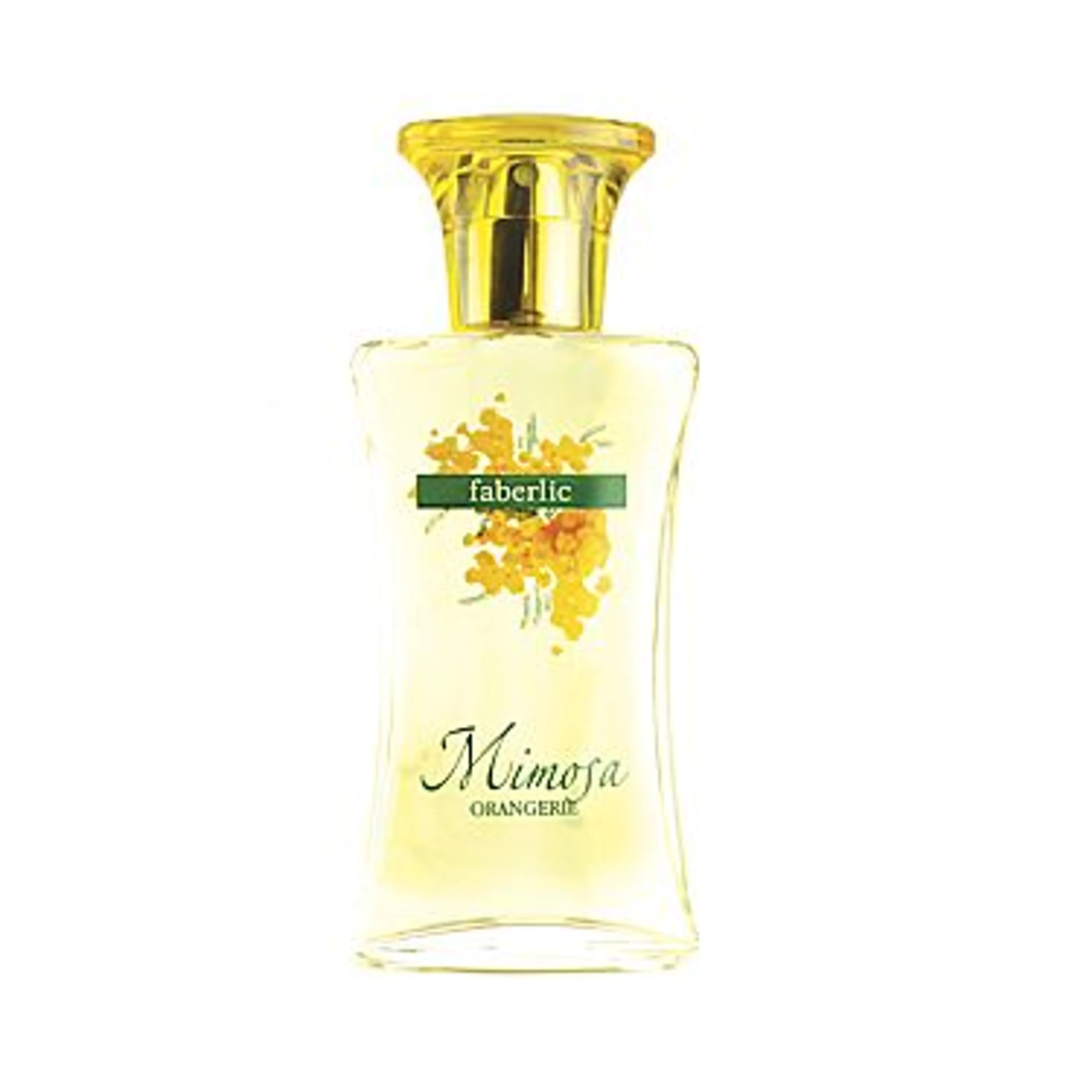 Orangerie Mimosa