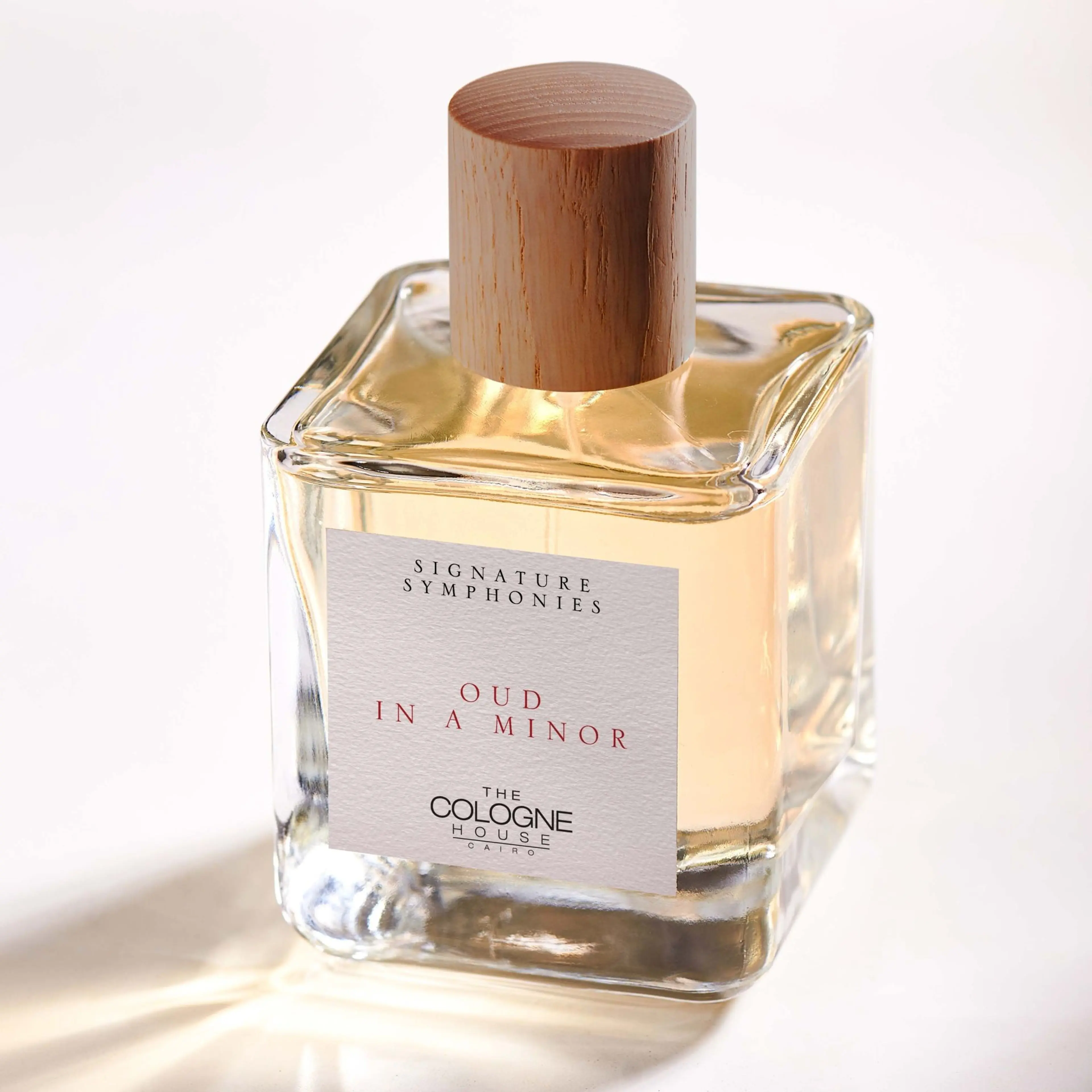 Oud in A Minor