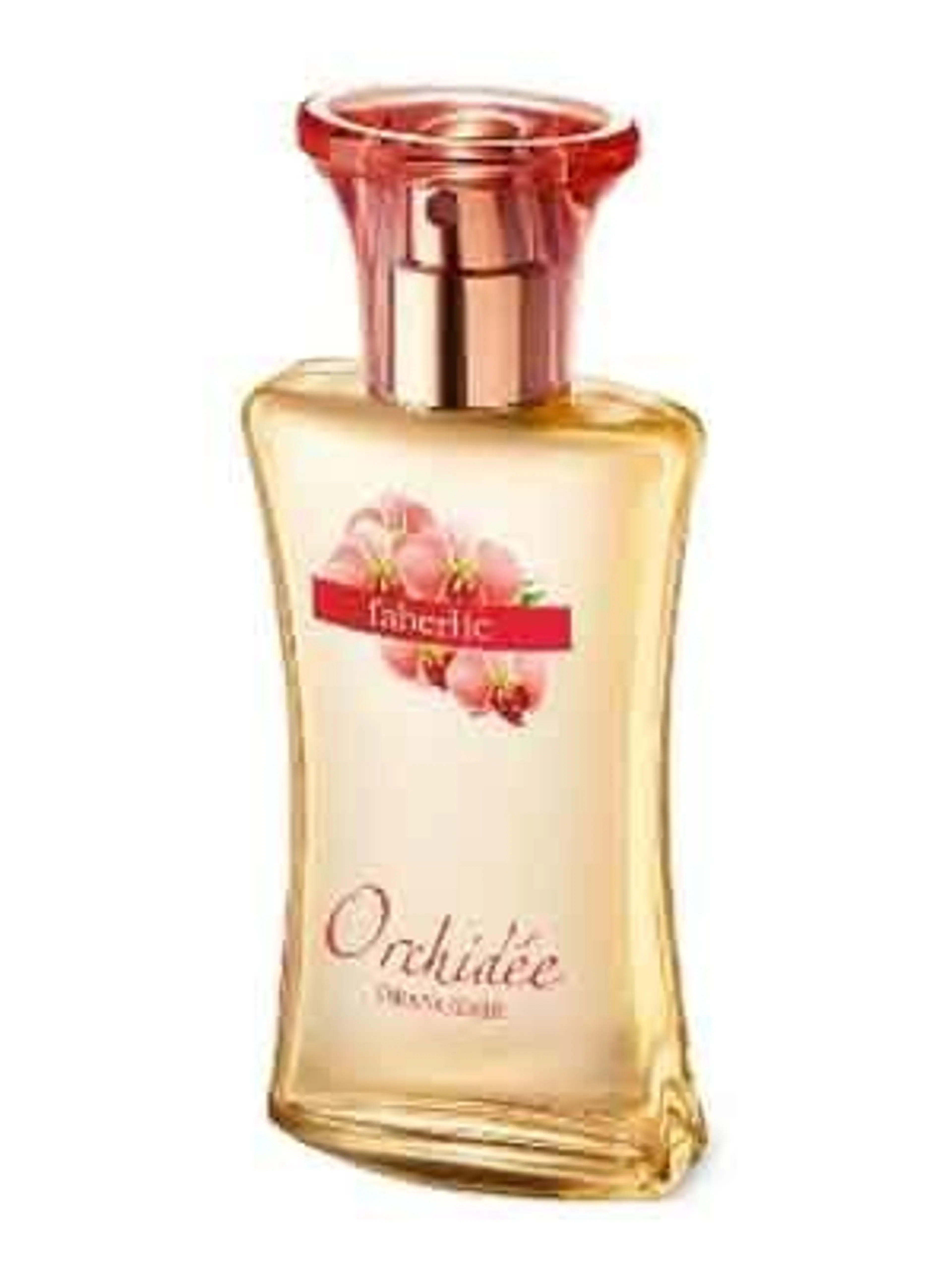 Orangerie Orchidee