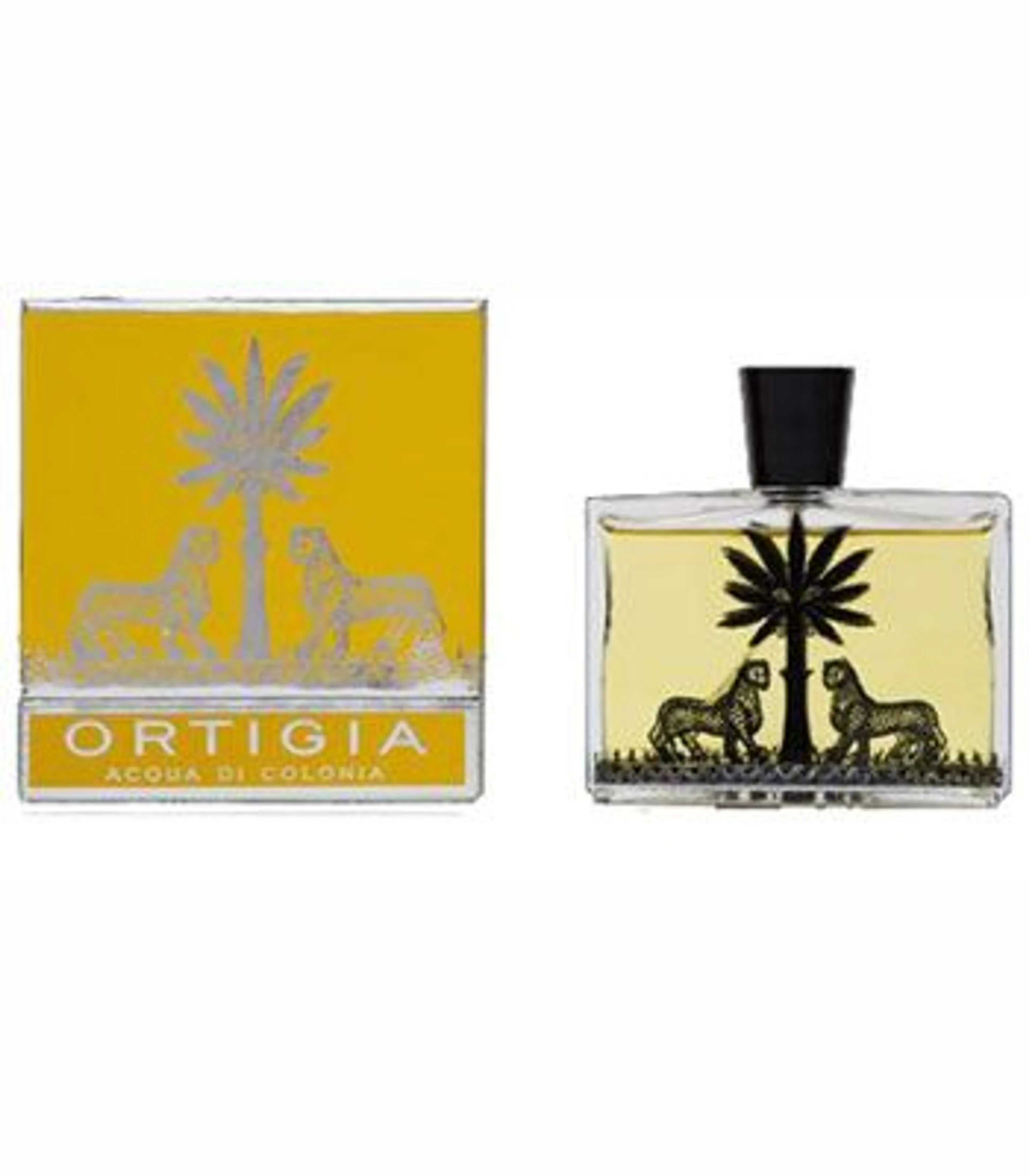 Orange Blossom