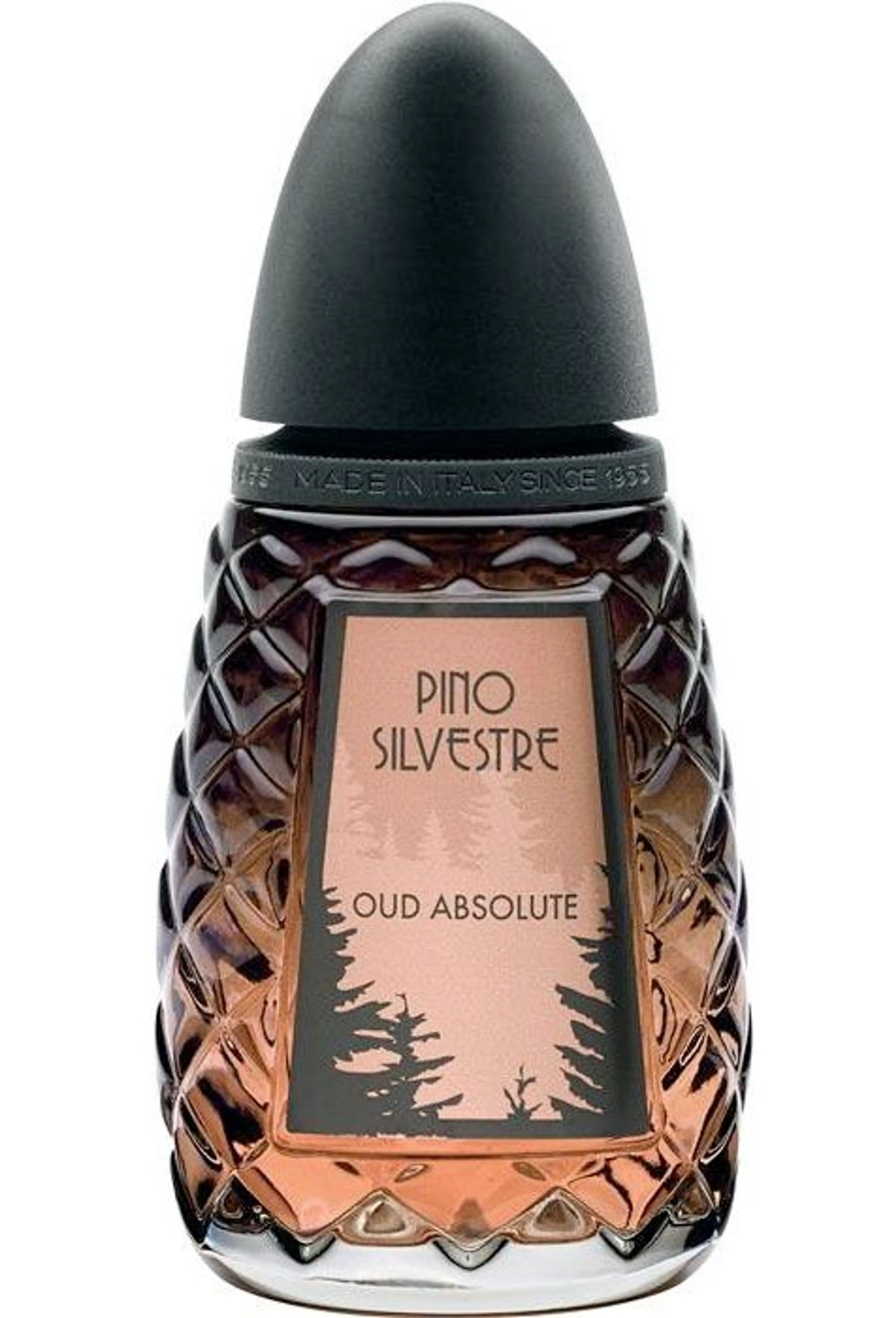 Oud Absolute