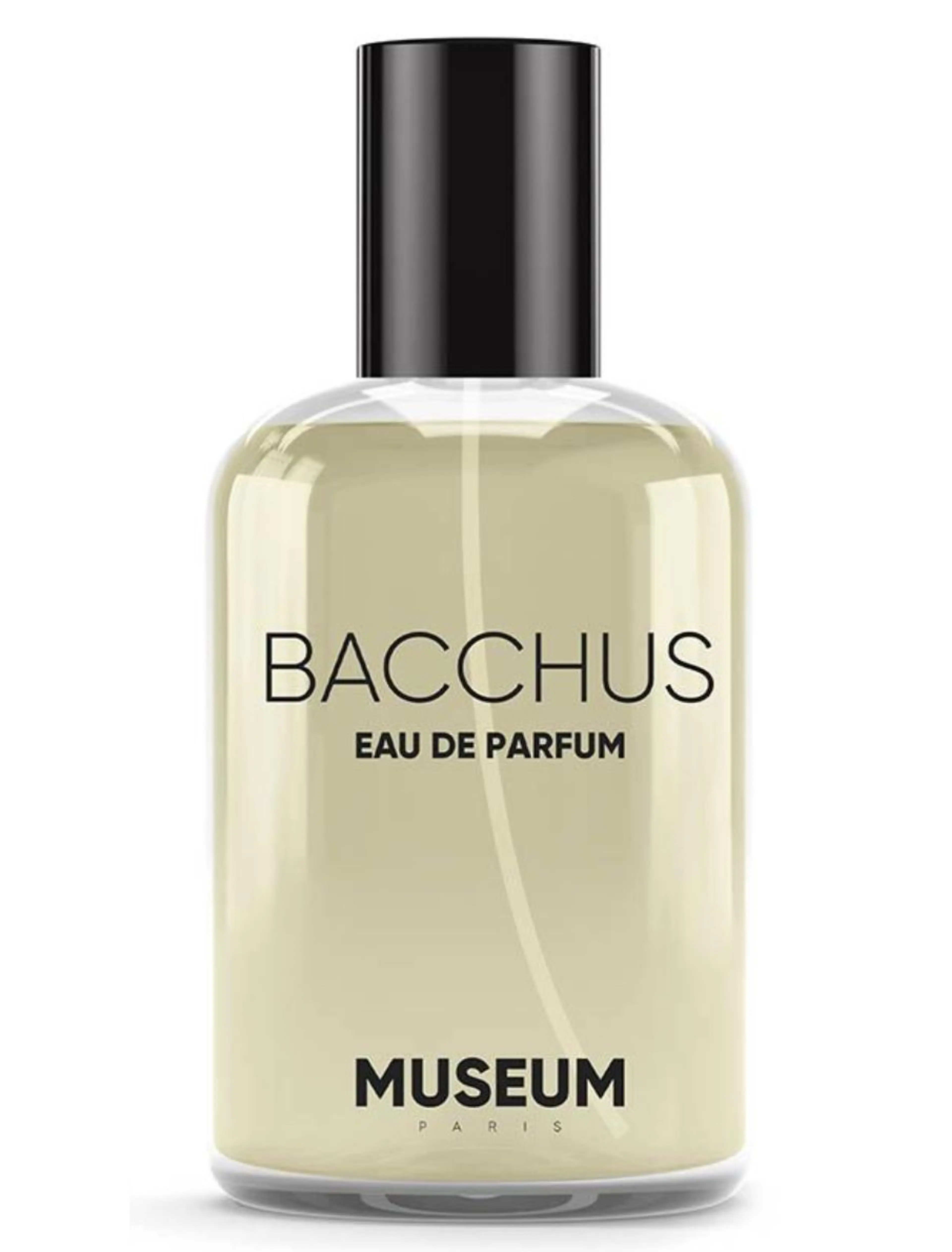 Museum Bacchus