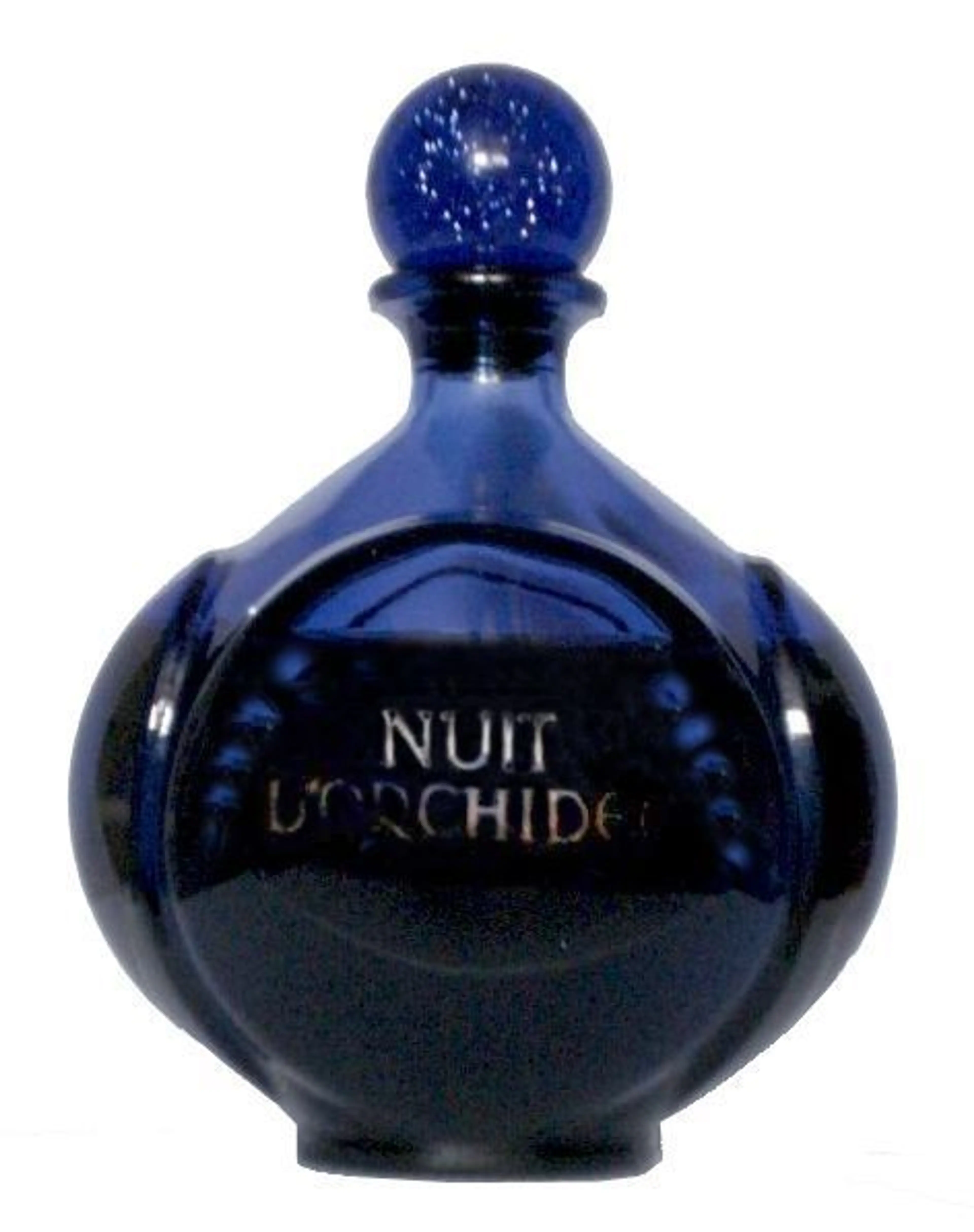 Nuit d'Orchidee