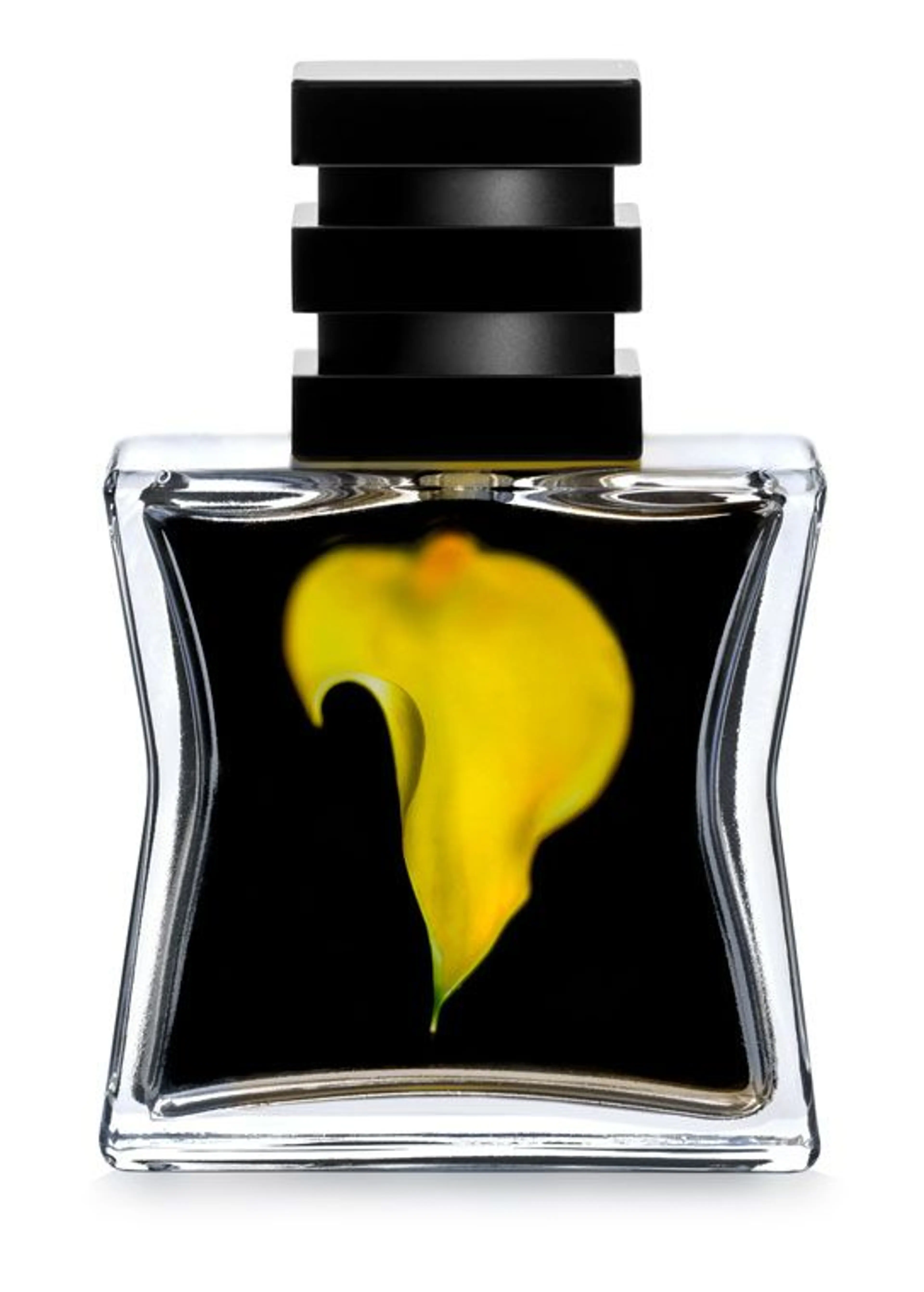 Nº 23