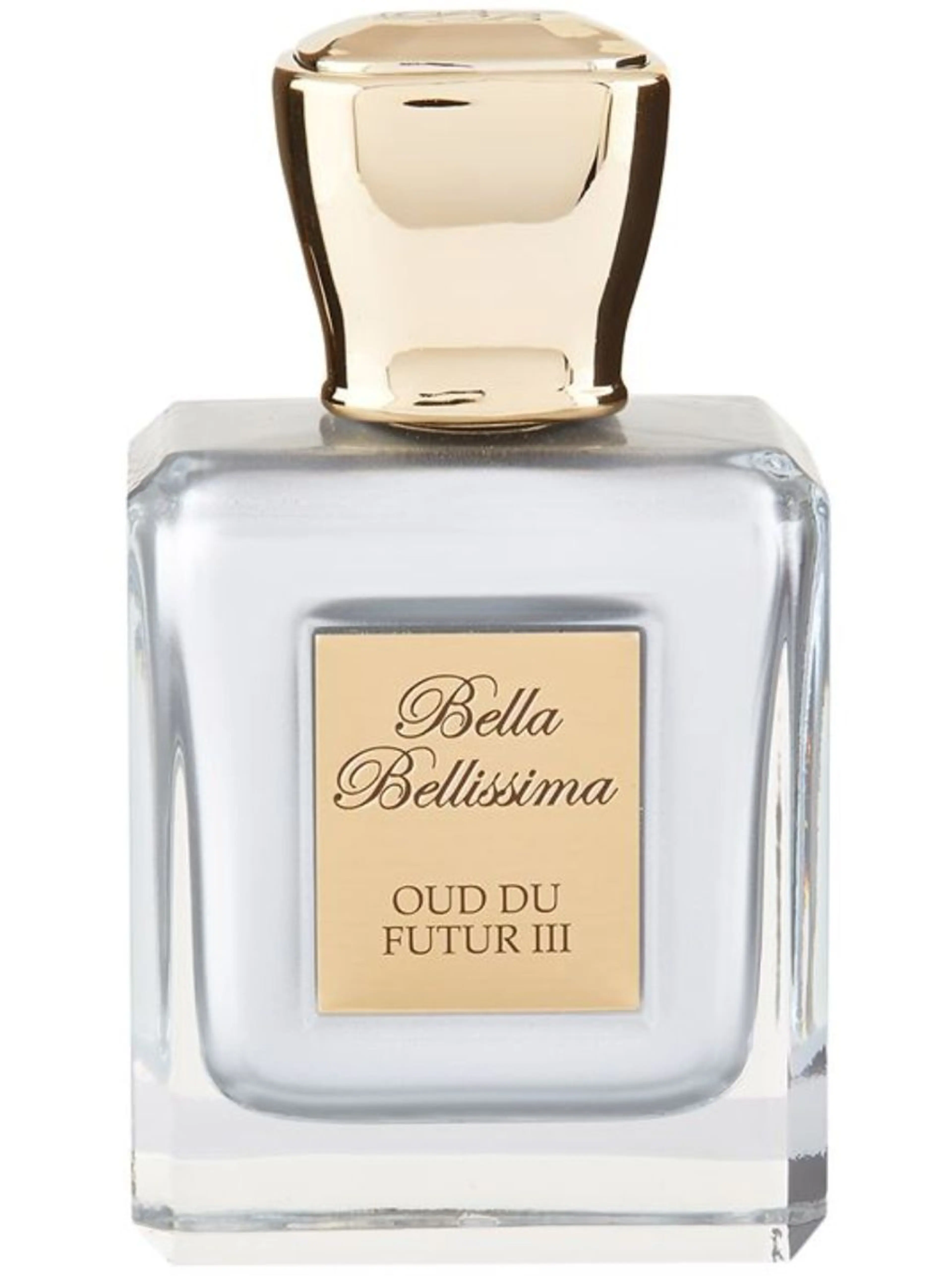 Oud Du Futur III