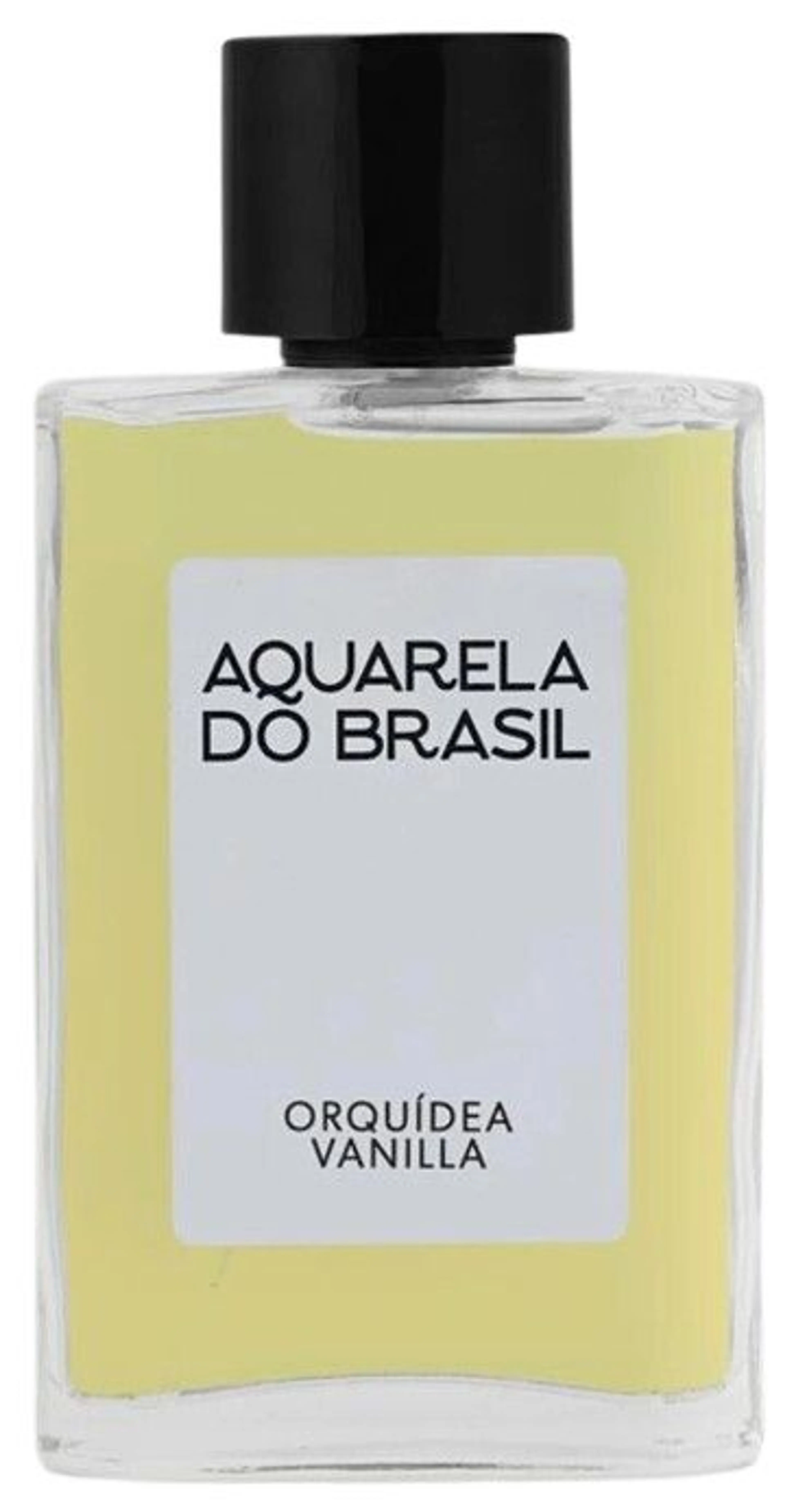 Orquídea Vanilla