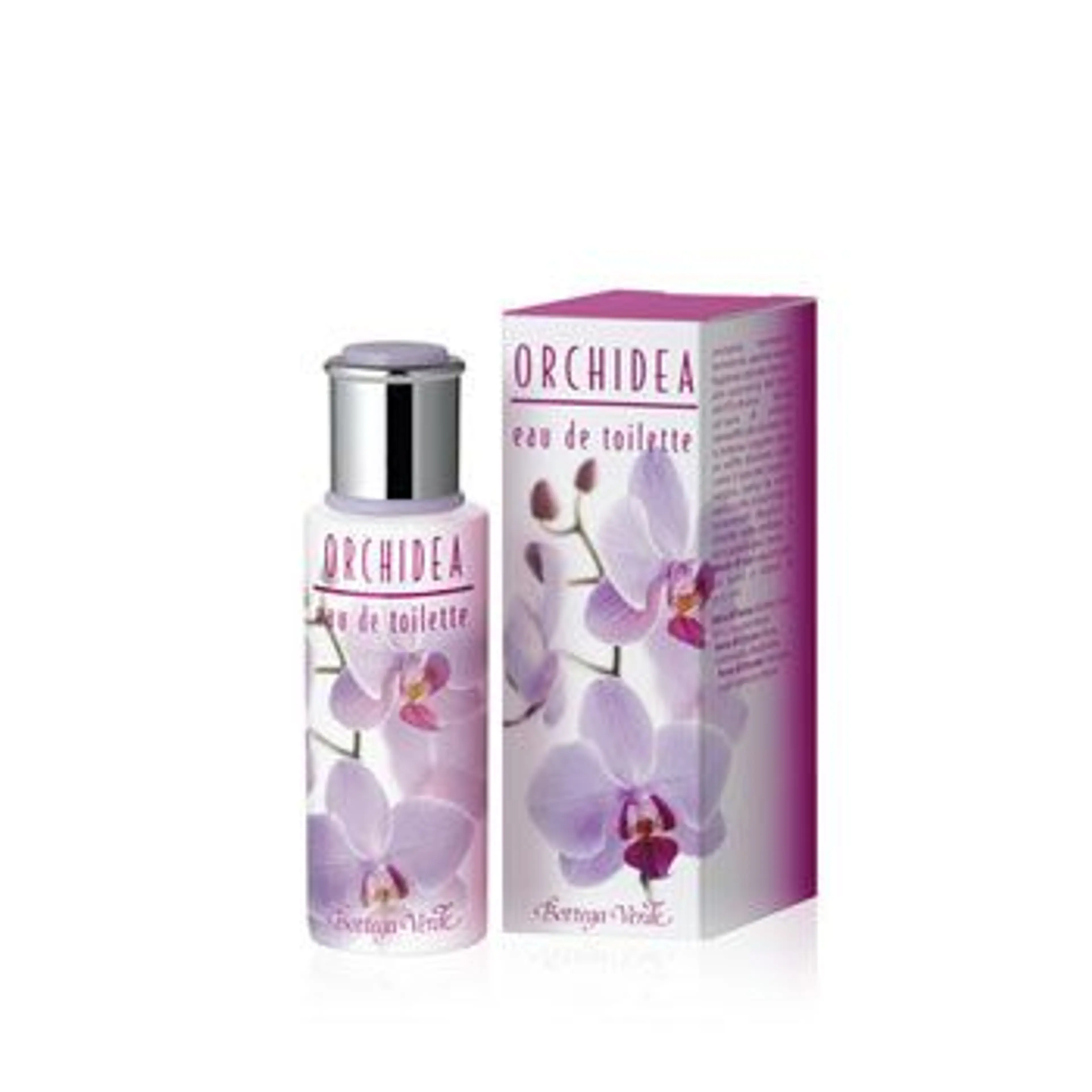 Orchidea
