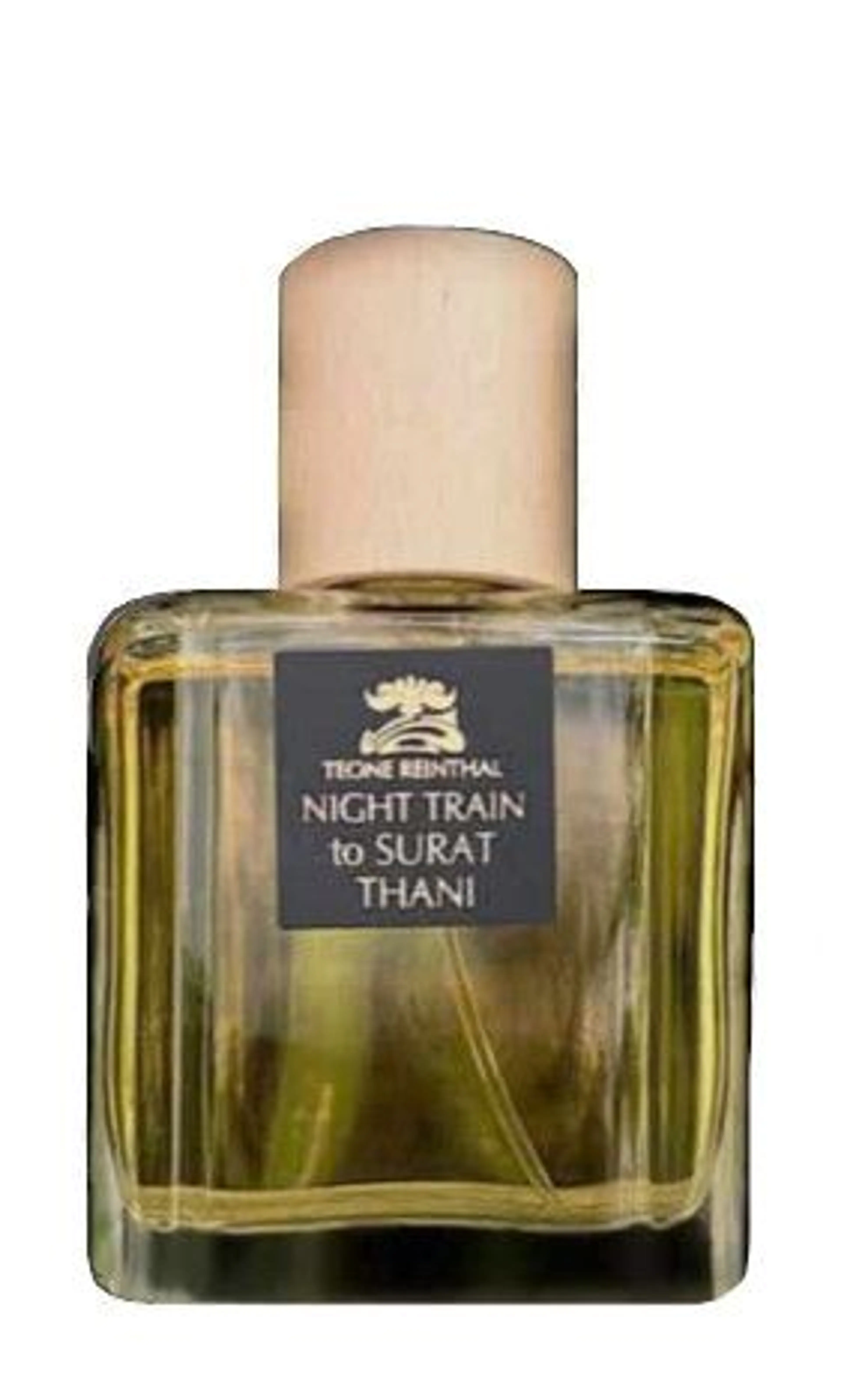 Night Train to Surat Thani