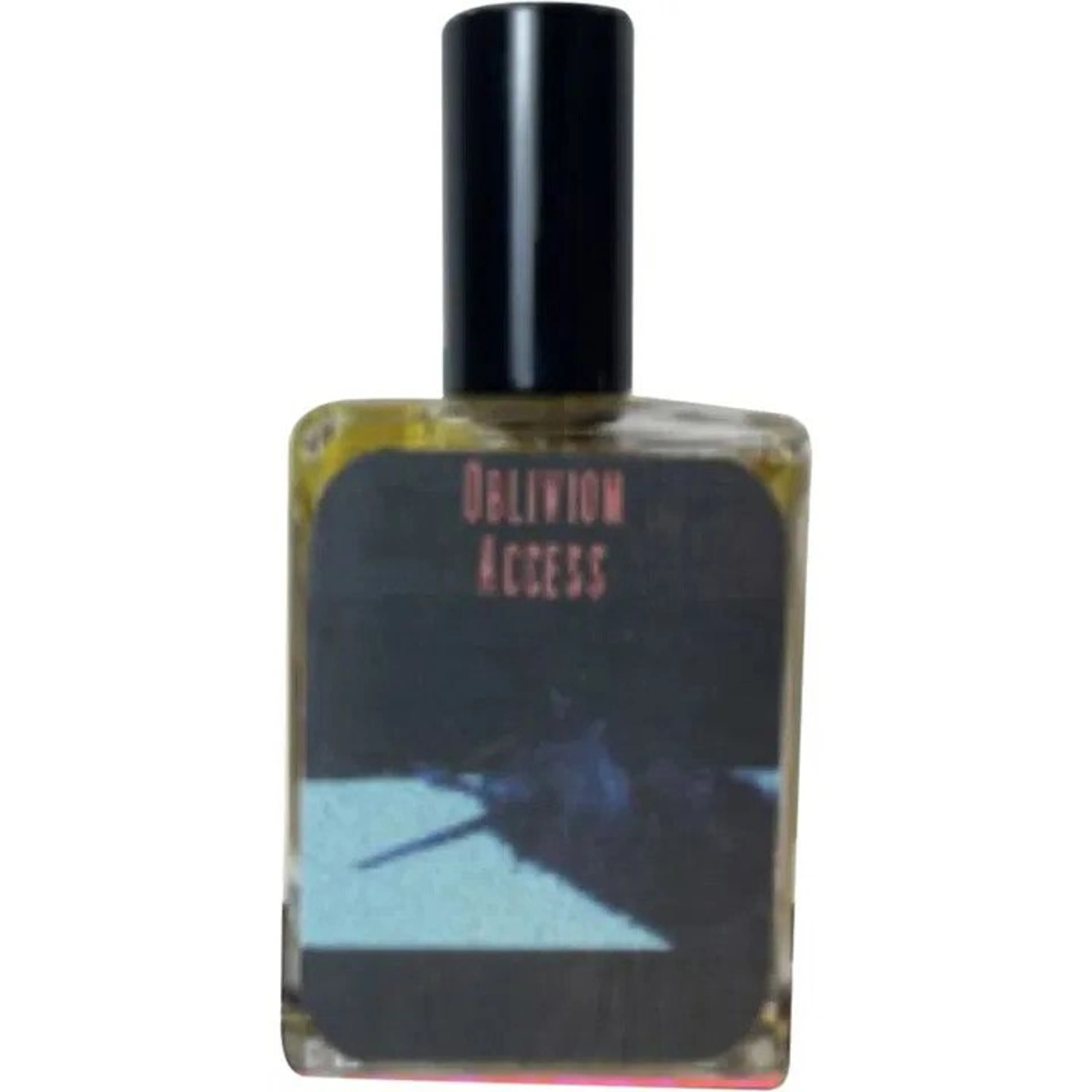 Oblivion Access