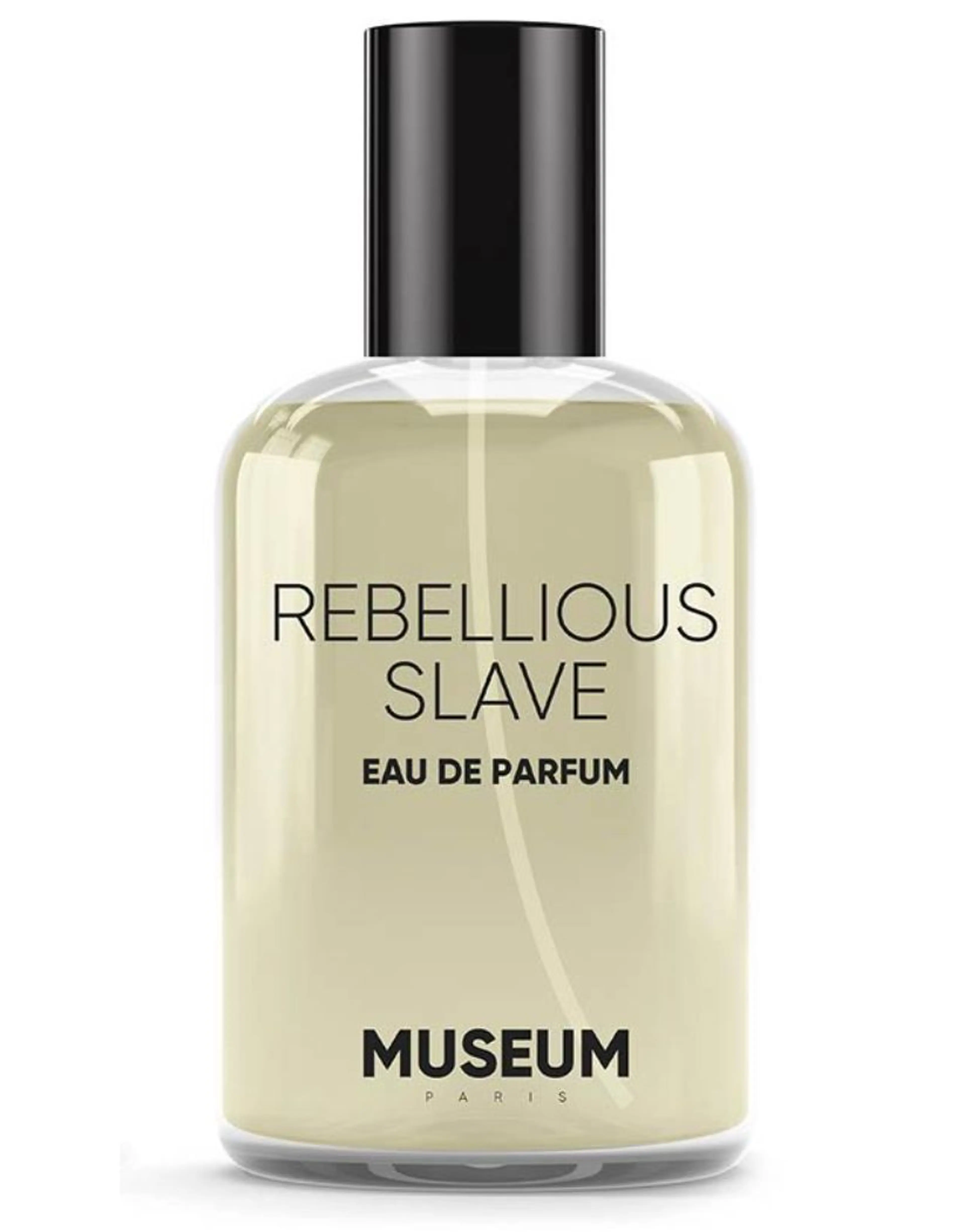 Museum Rebellious Slave