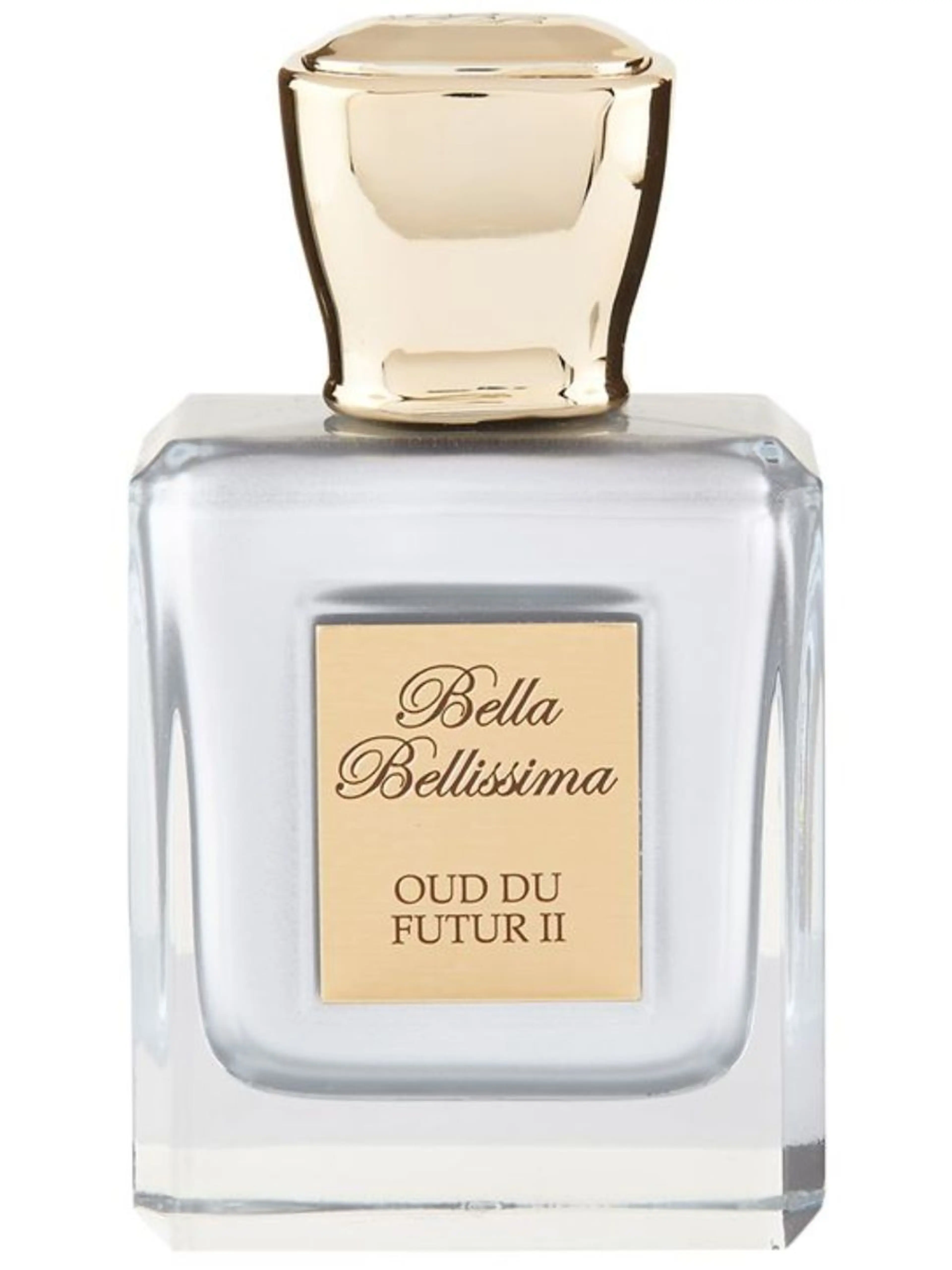 Oud du Futur II
