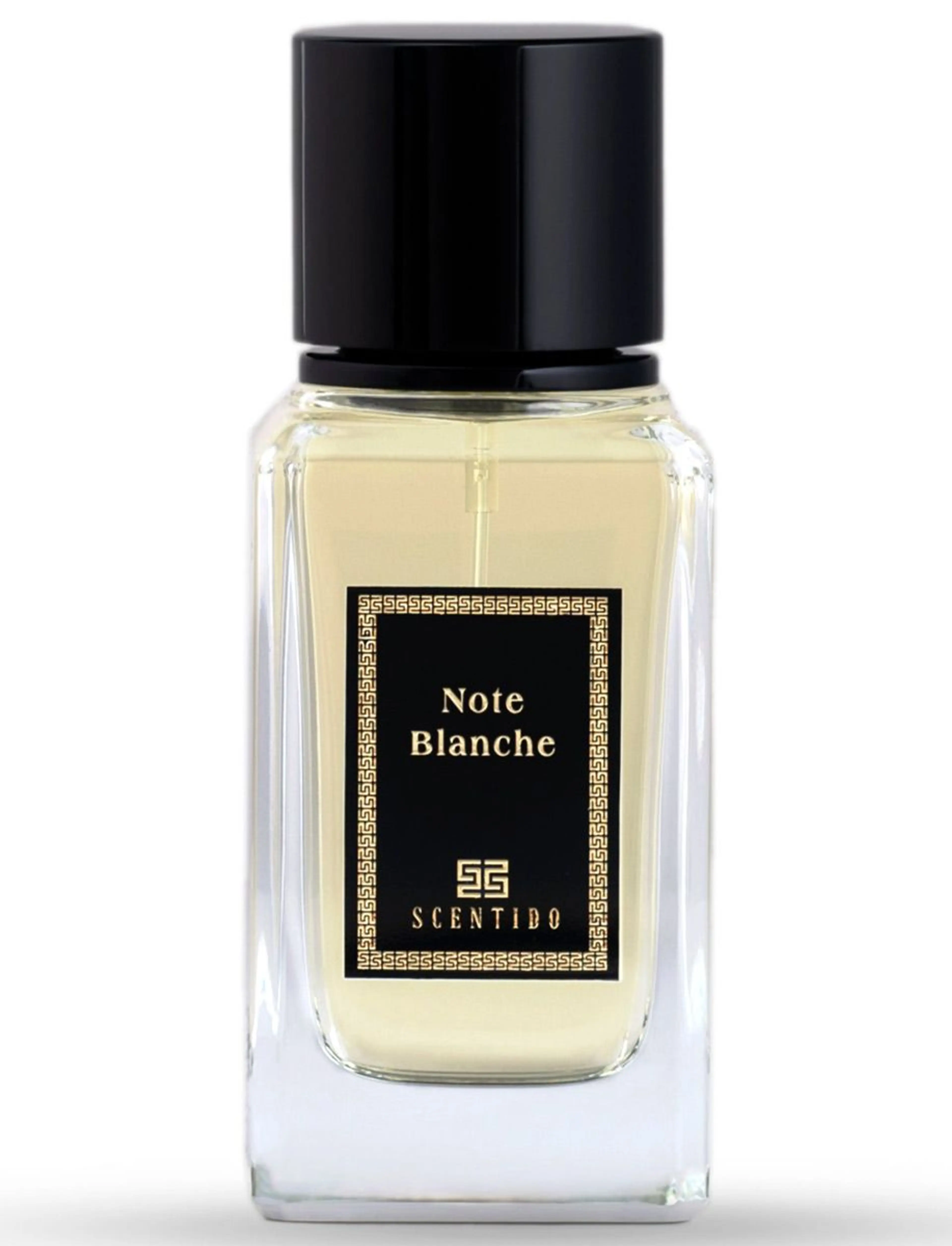 Note Blanche