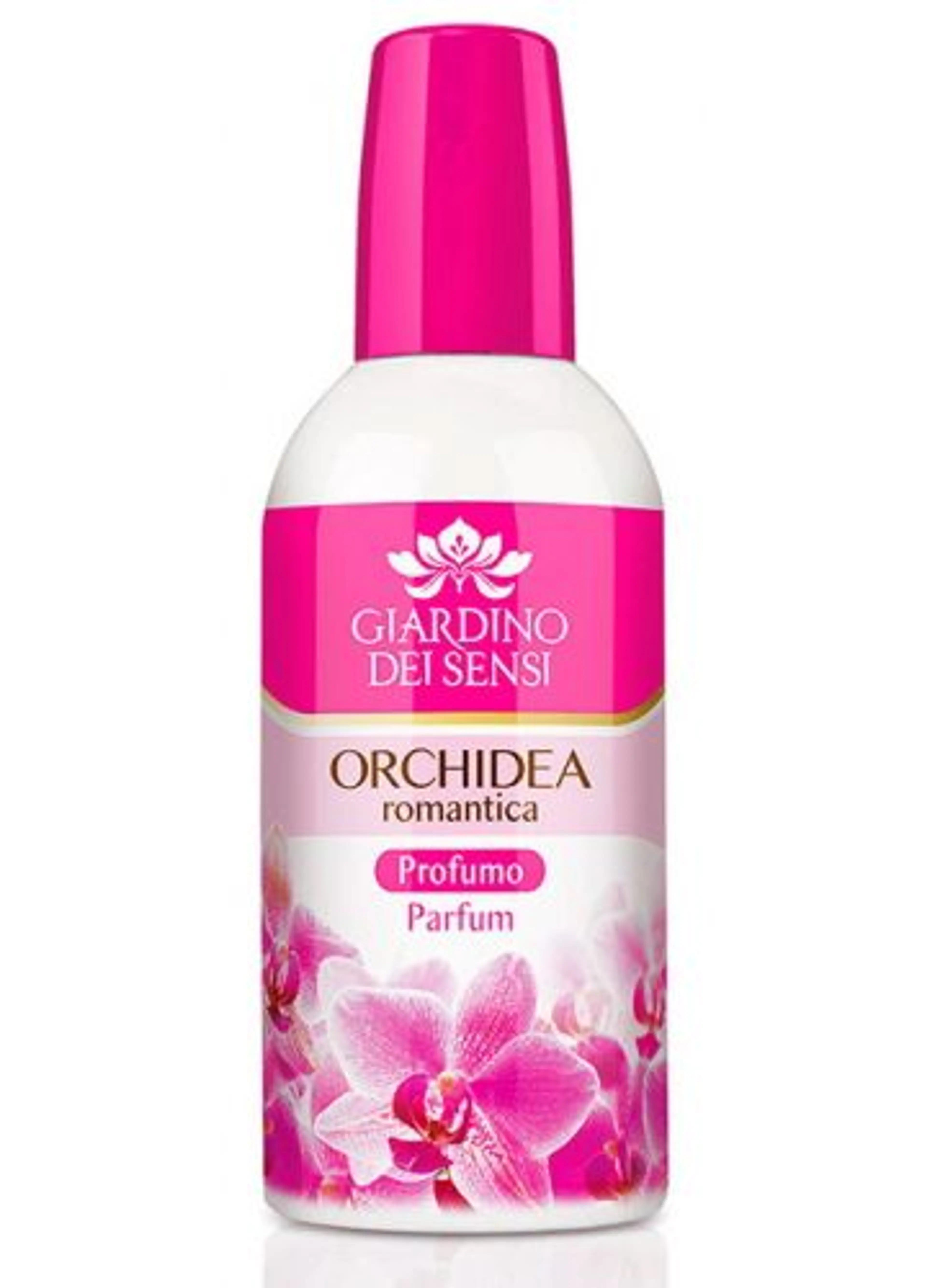 Orchidea Romantica
