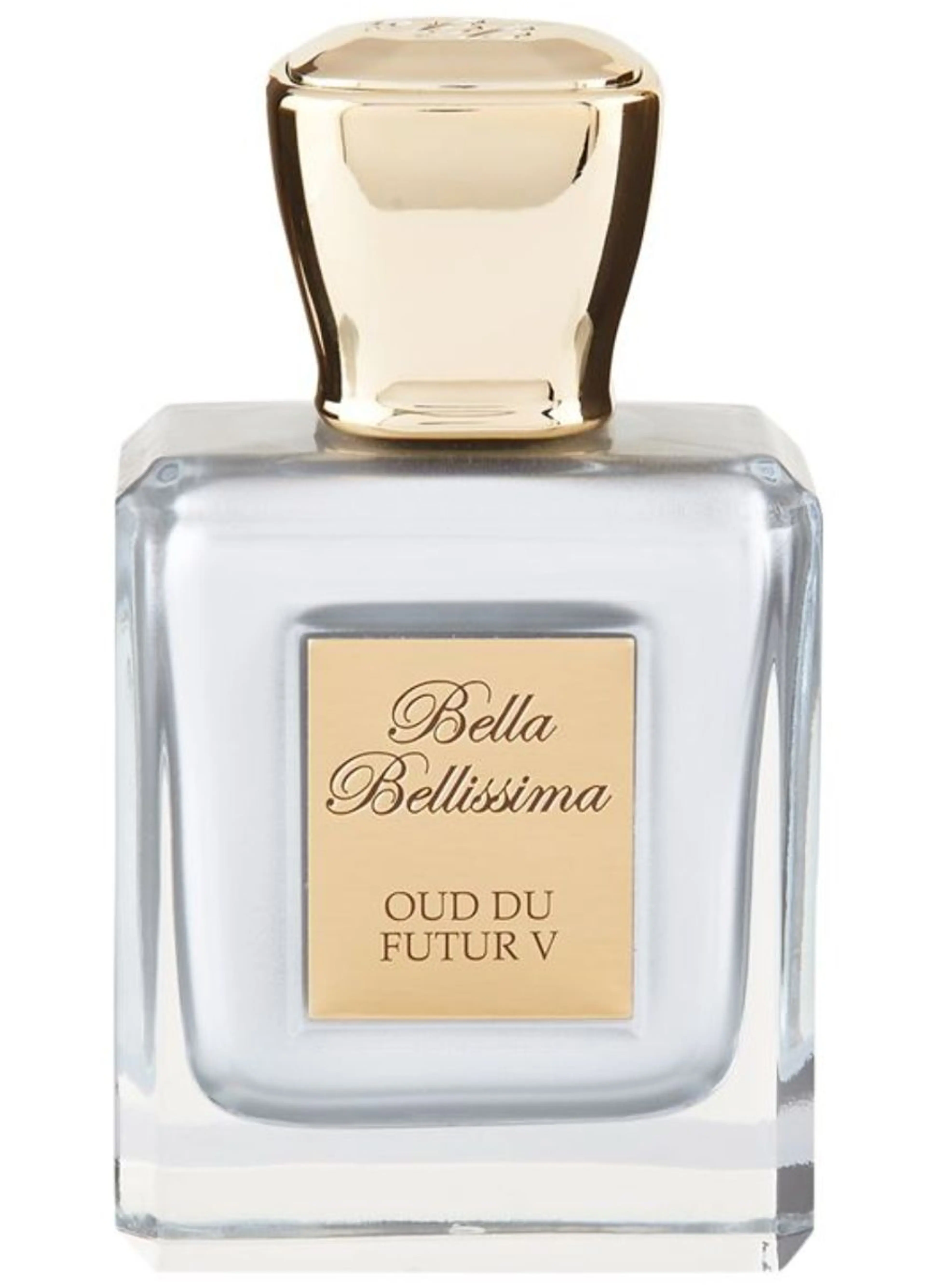 Oud Du Futur V