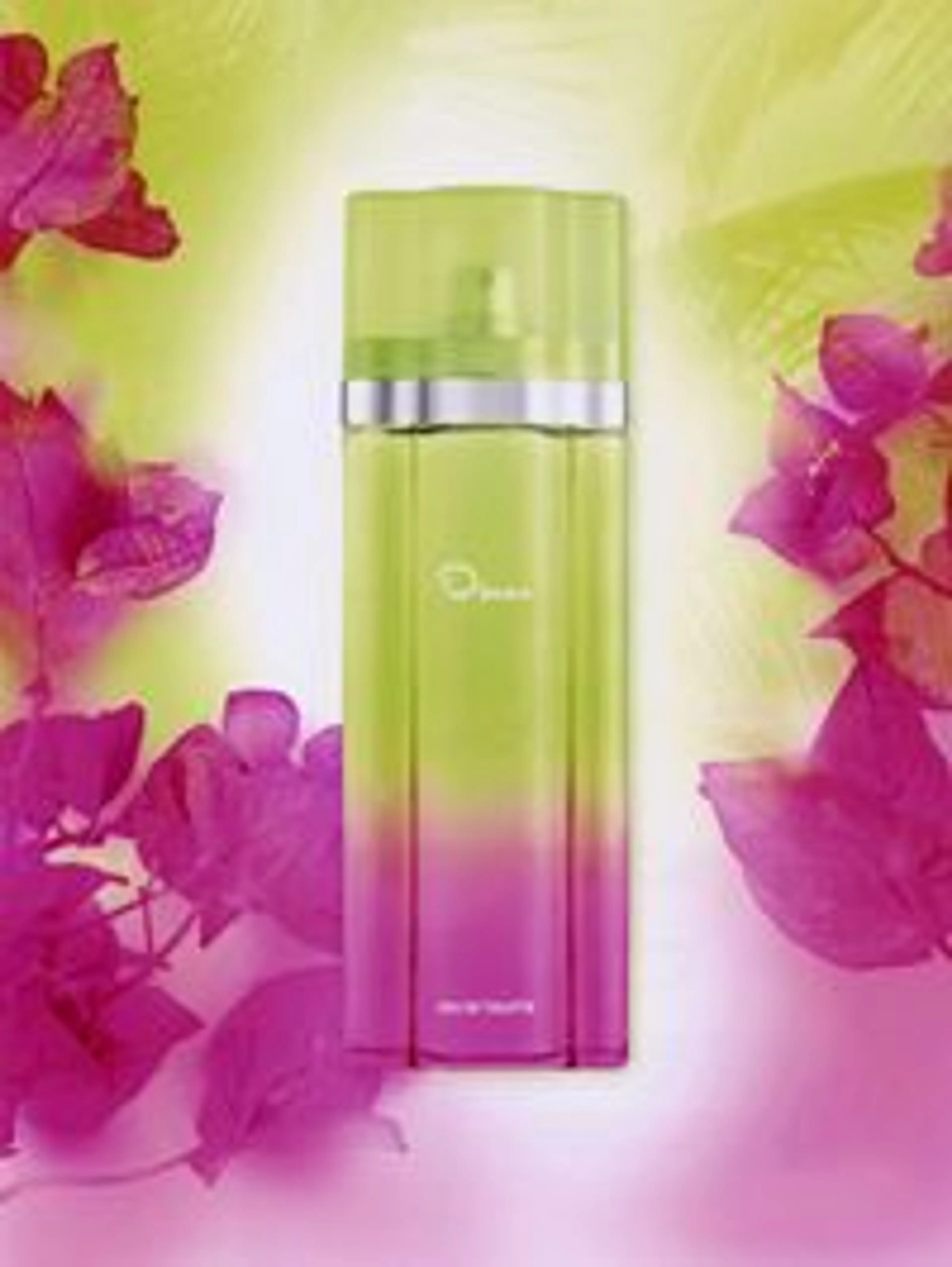 Oscar Limited Edition