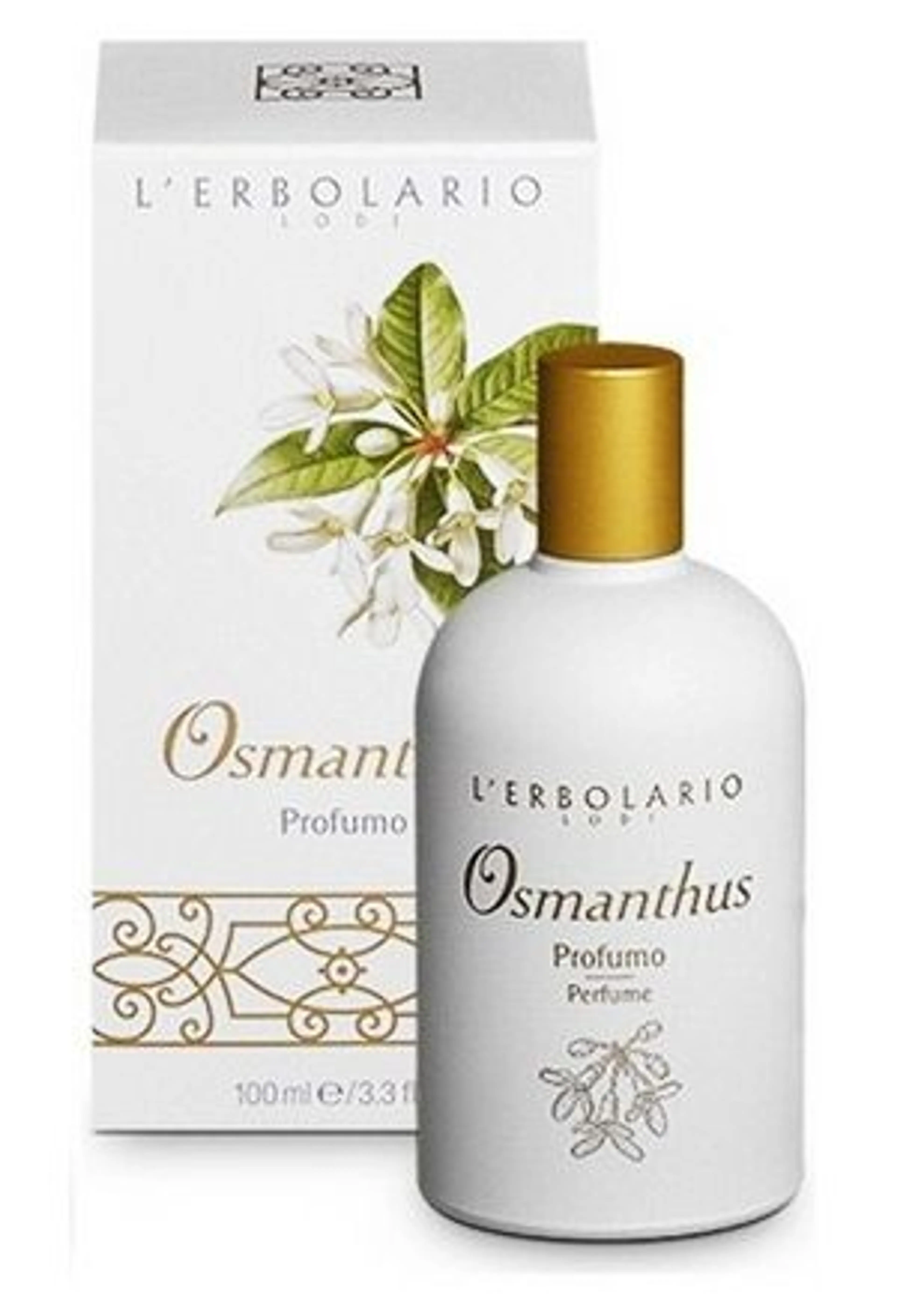 Osmanthus