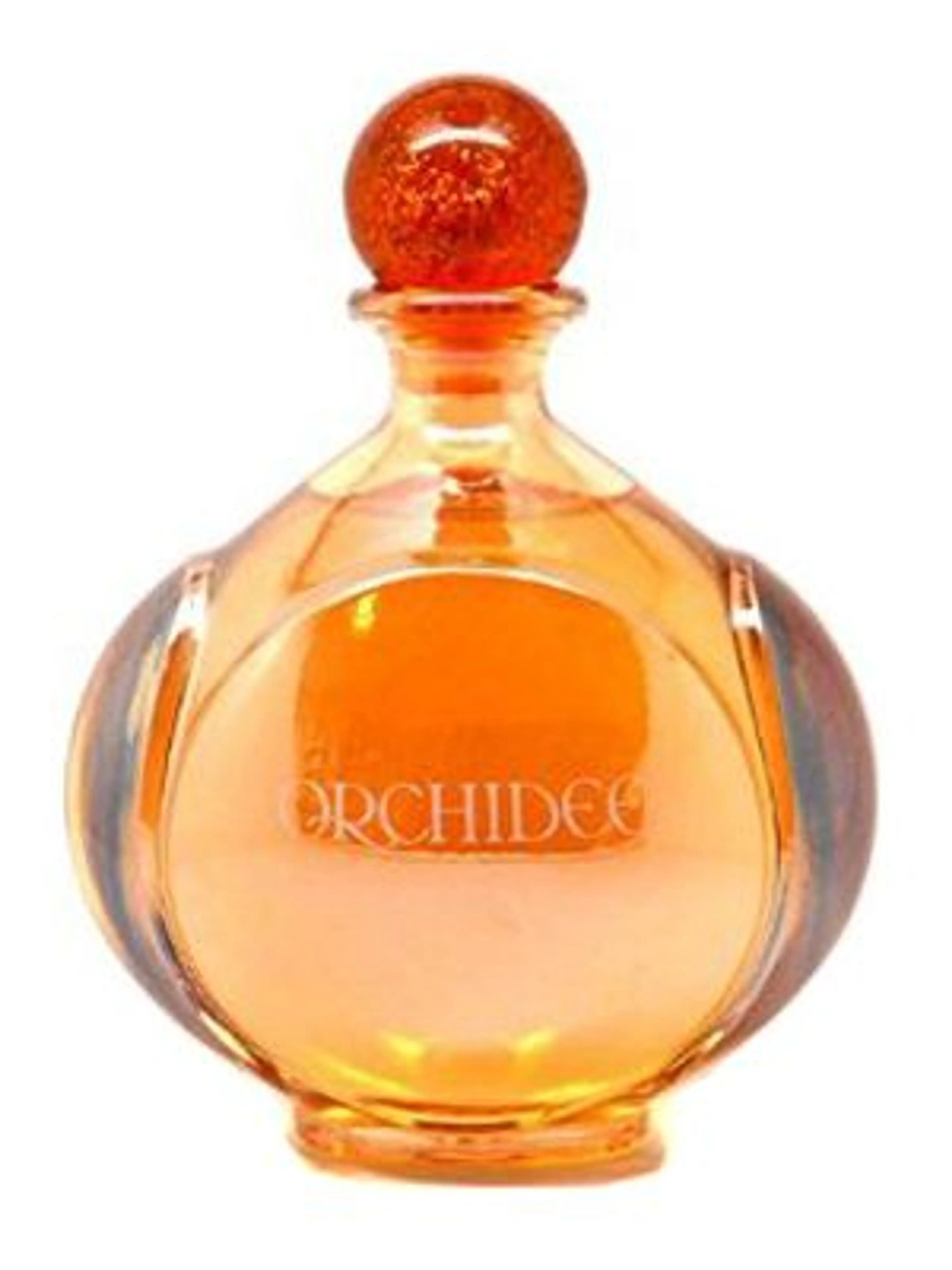 Orchidee