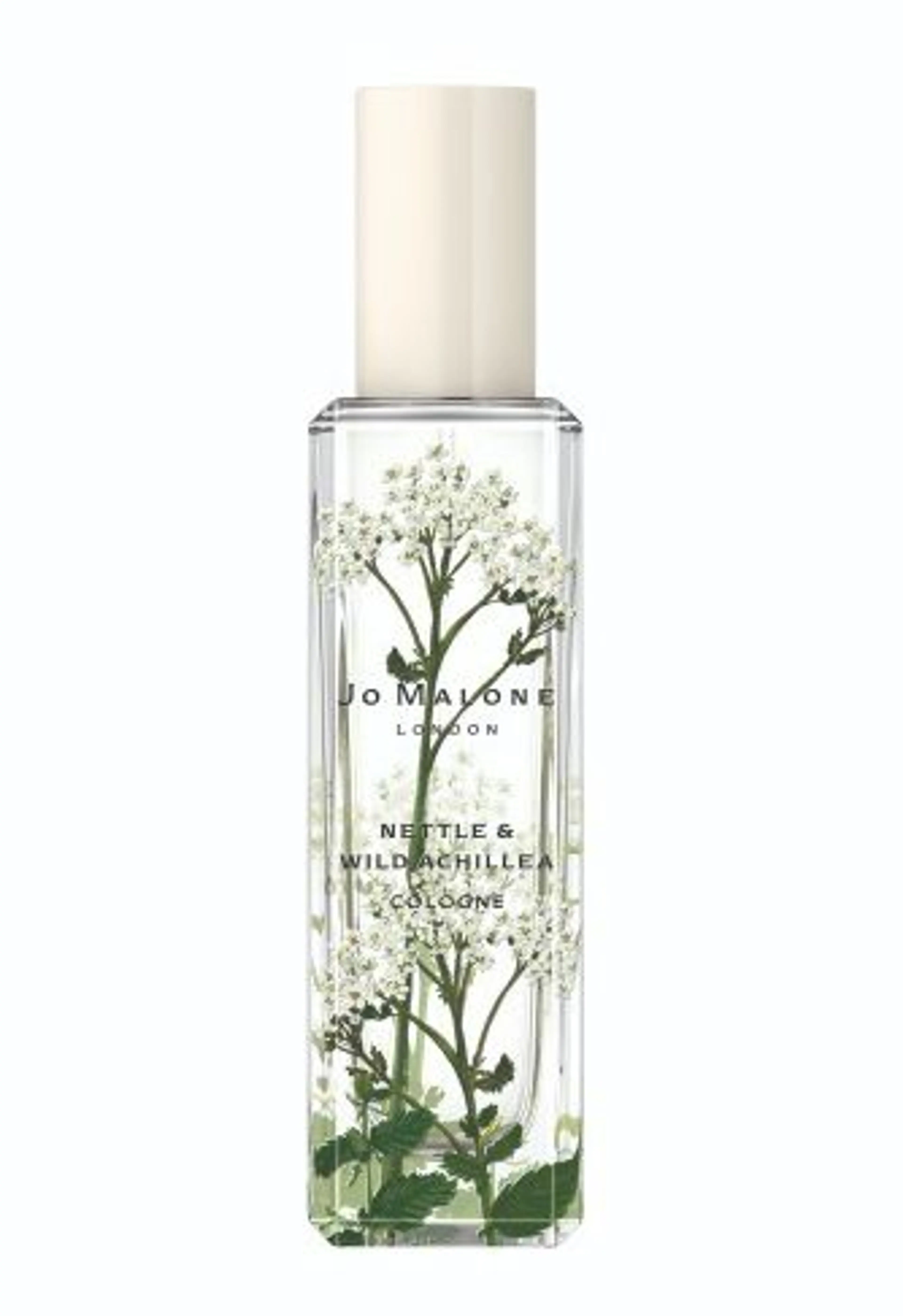 Nettle & Wild Achillea