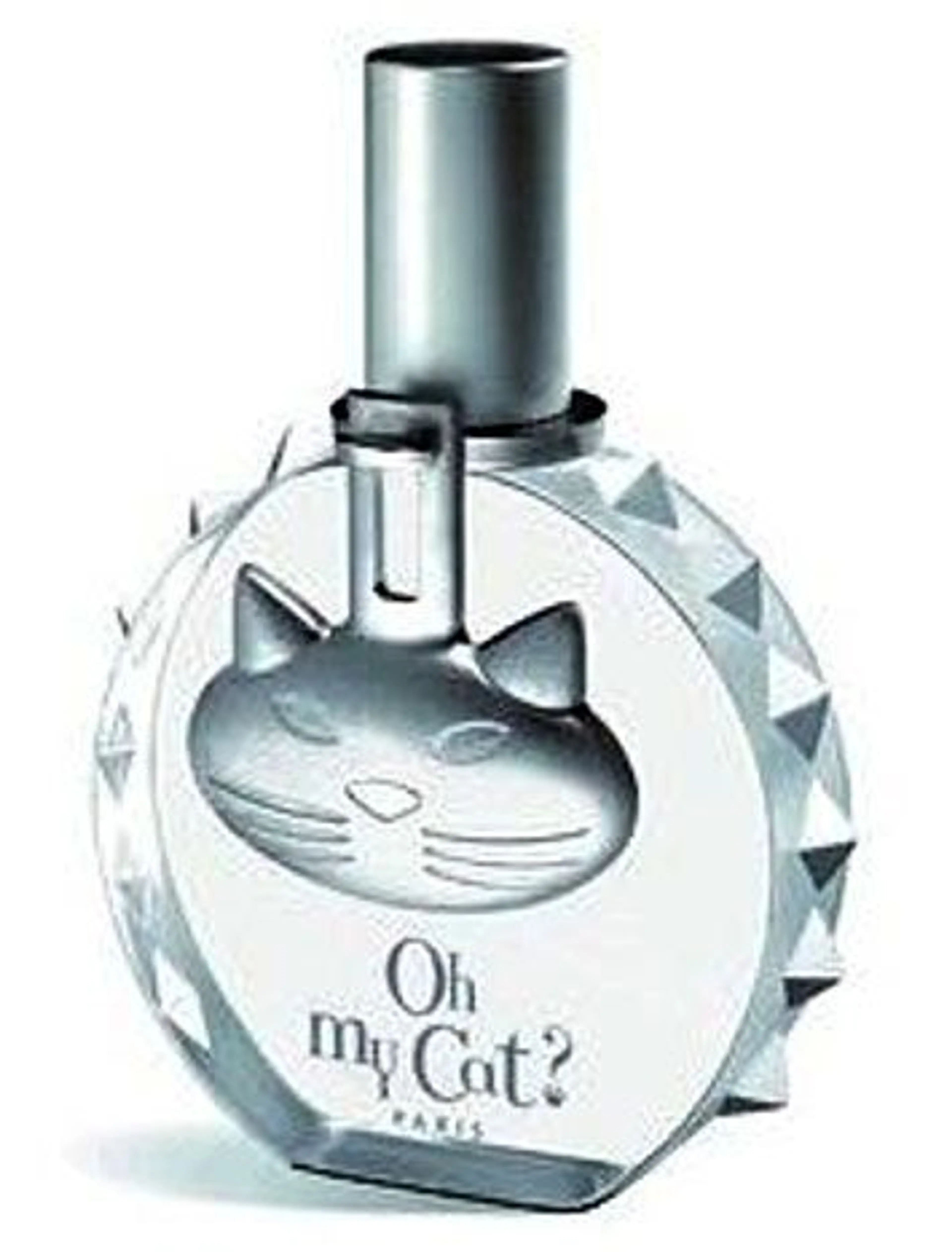 Oh My Cat