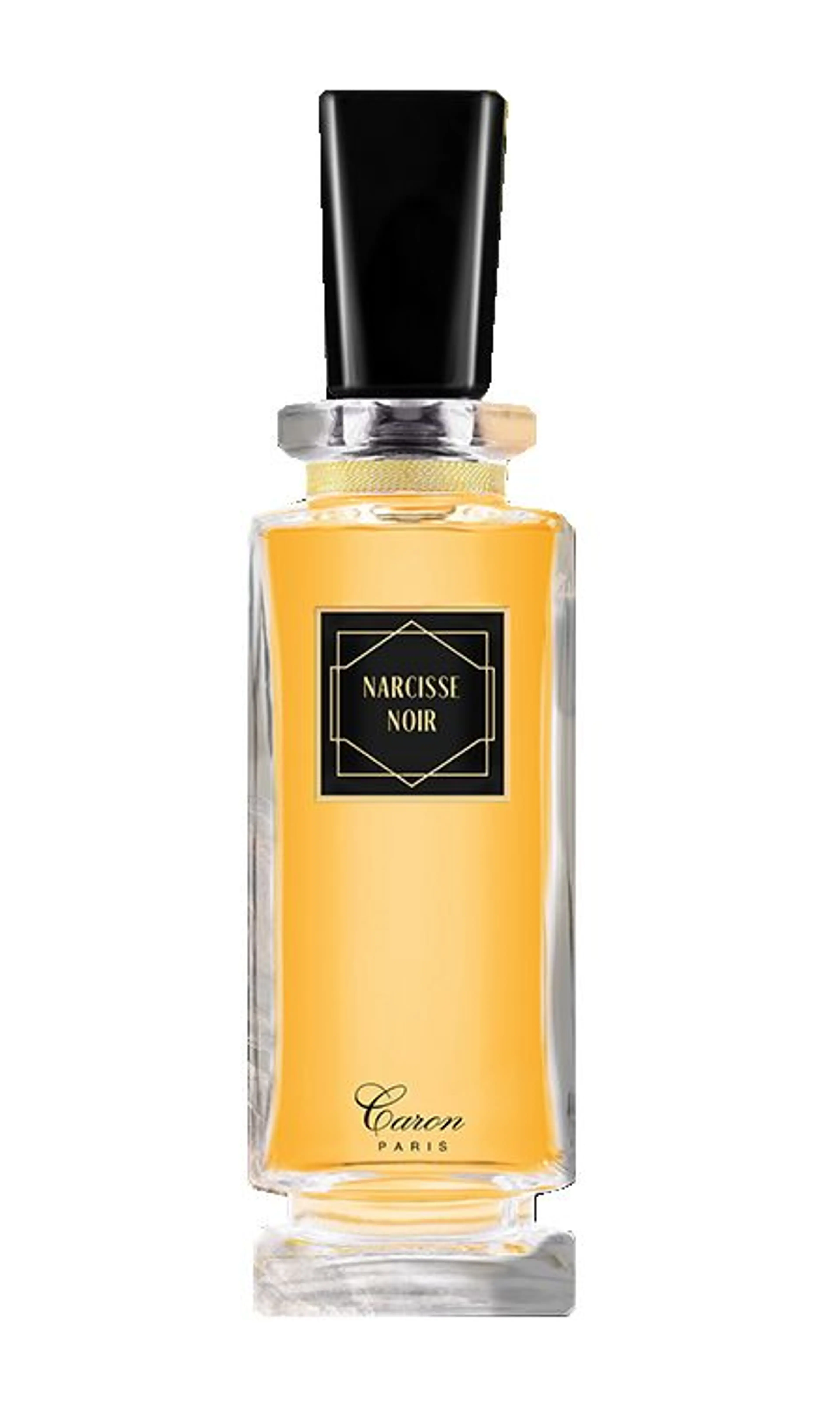 Narcisse Noir