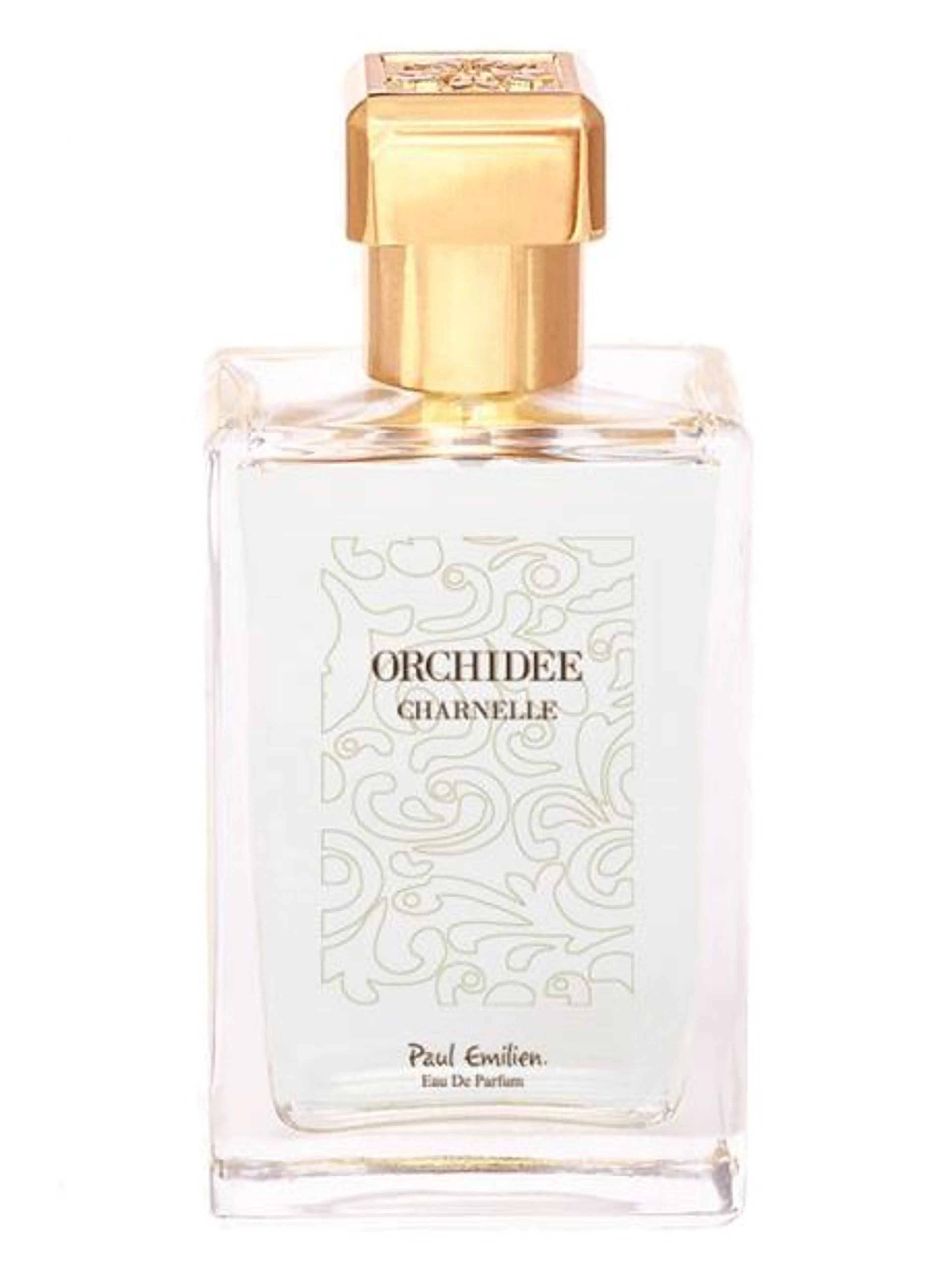 Orchidée Charnelle