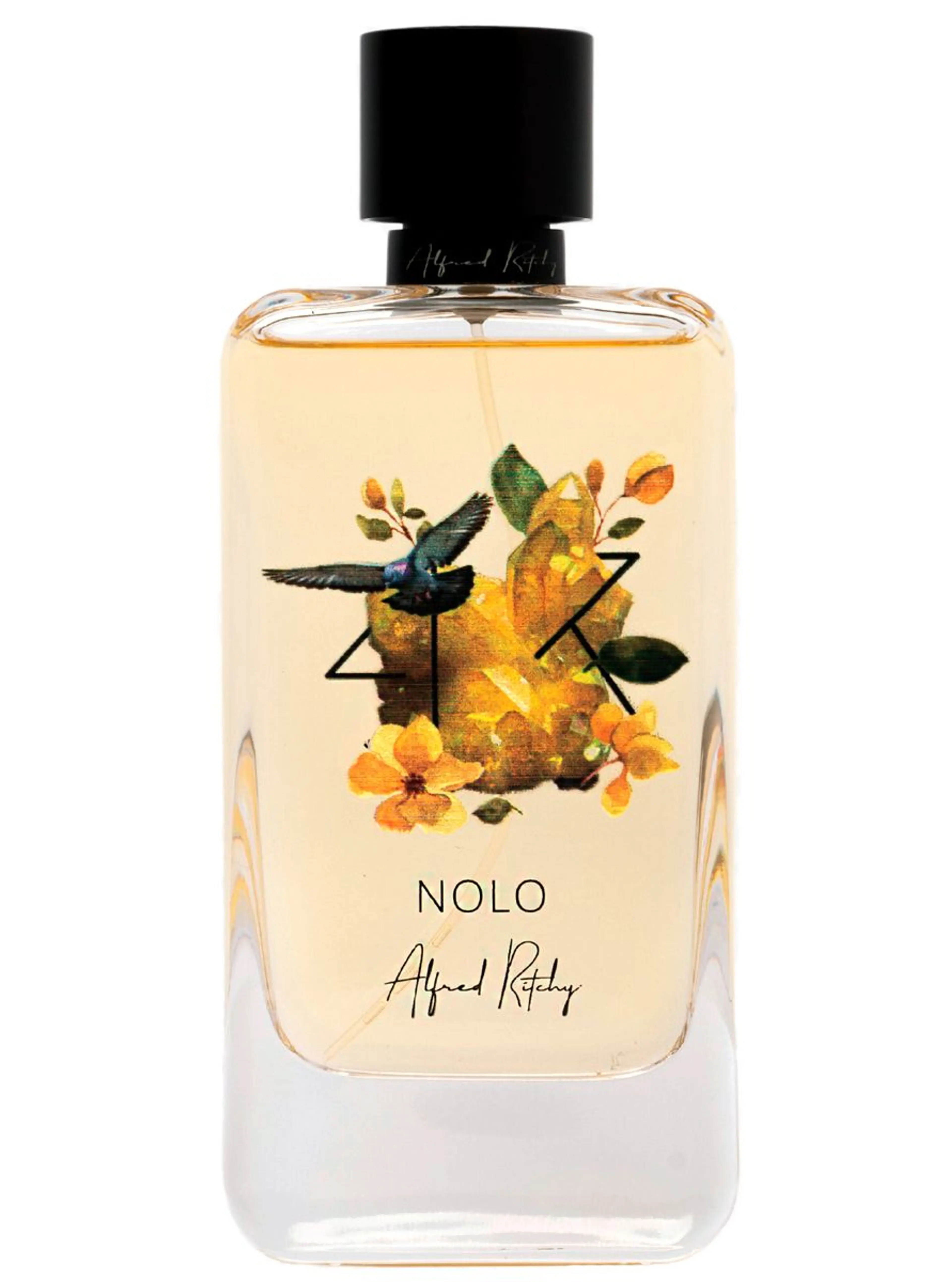 Nolo