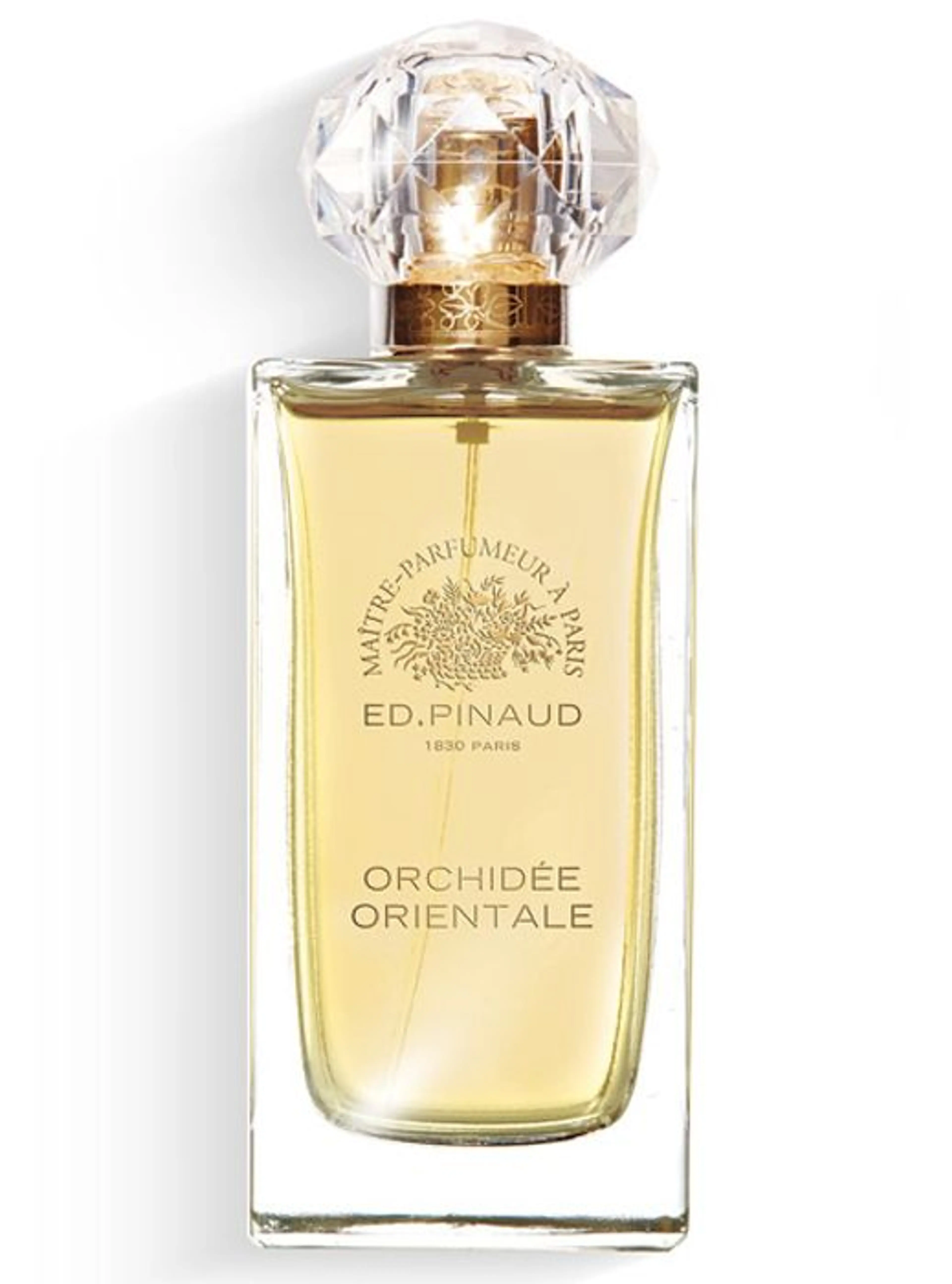 Orchidée Orientale